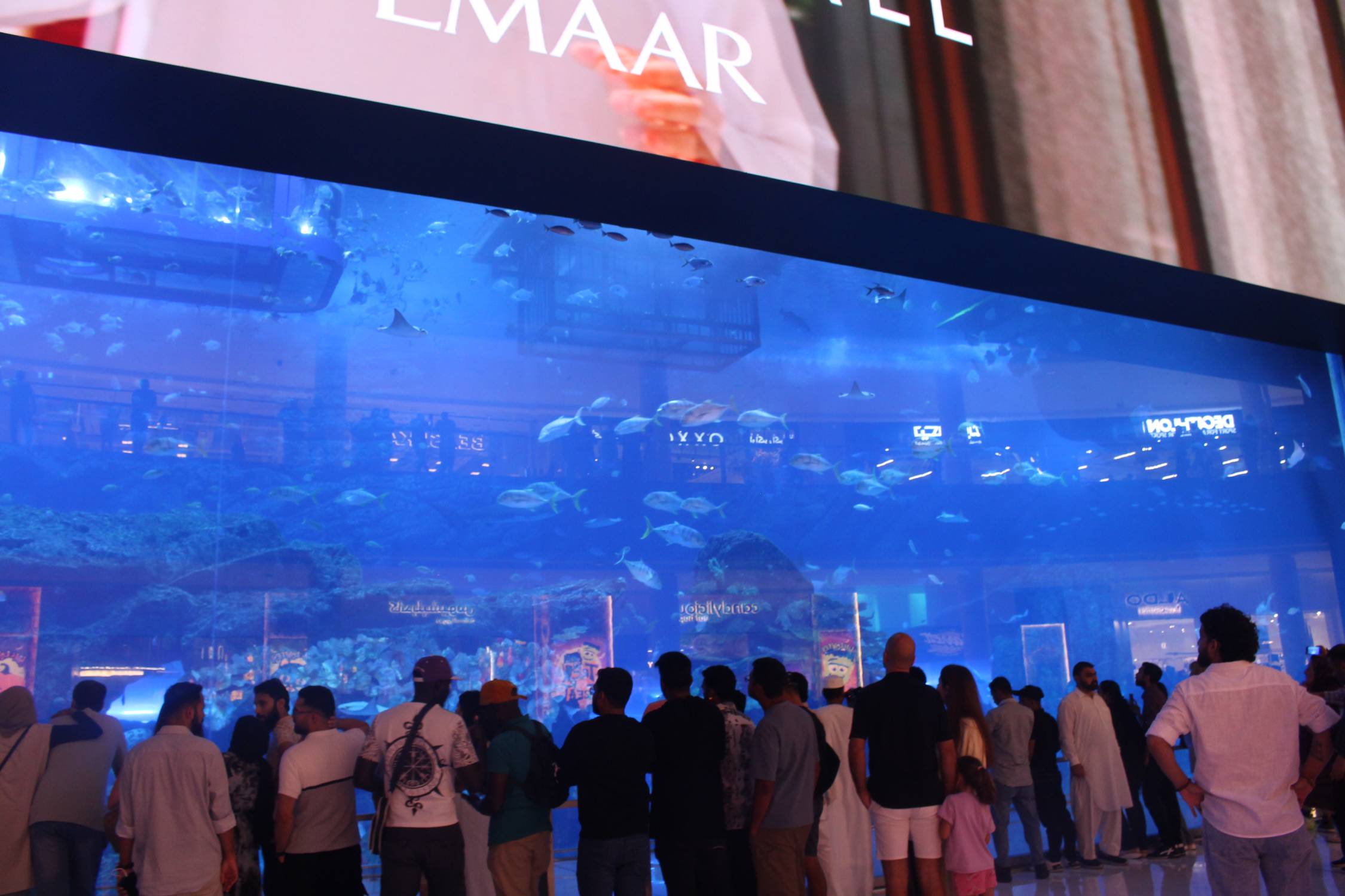 Duba&iuml; Mall, aquarium