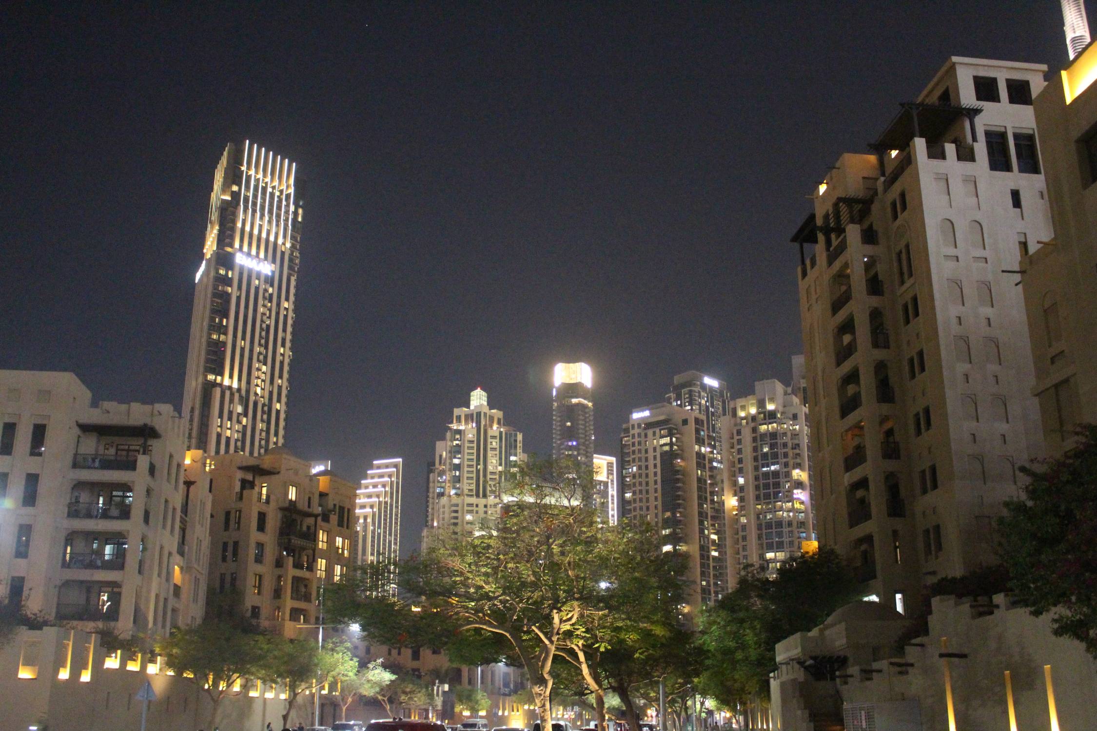 Duba&iuml;, South Ridge Park, vue
