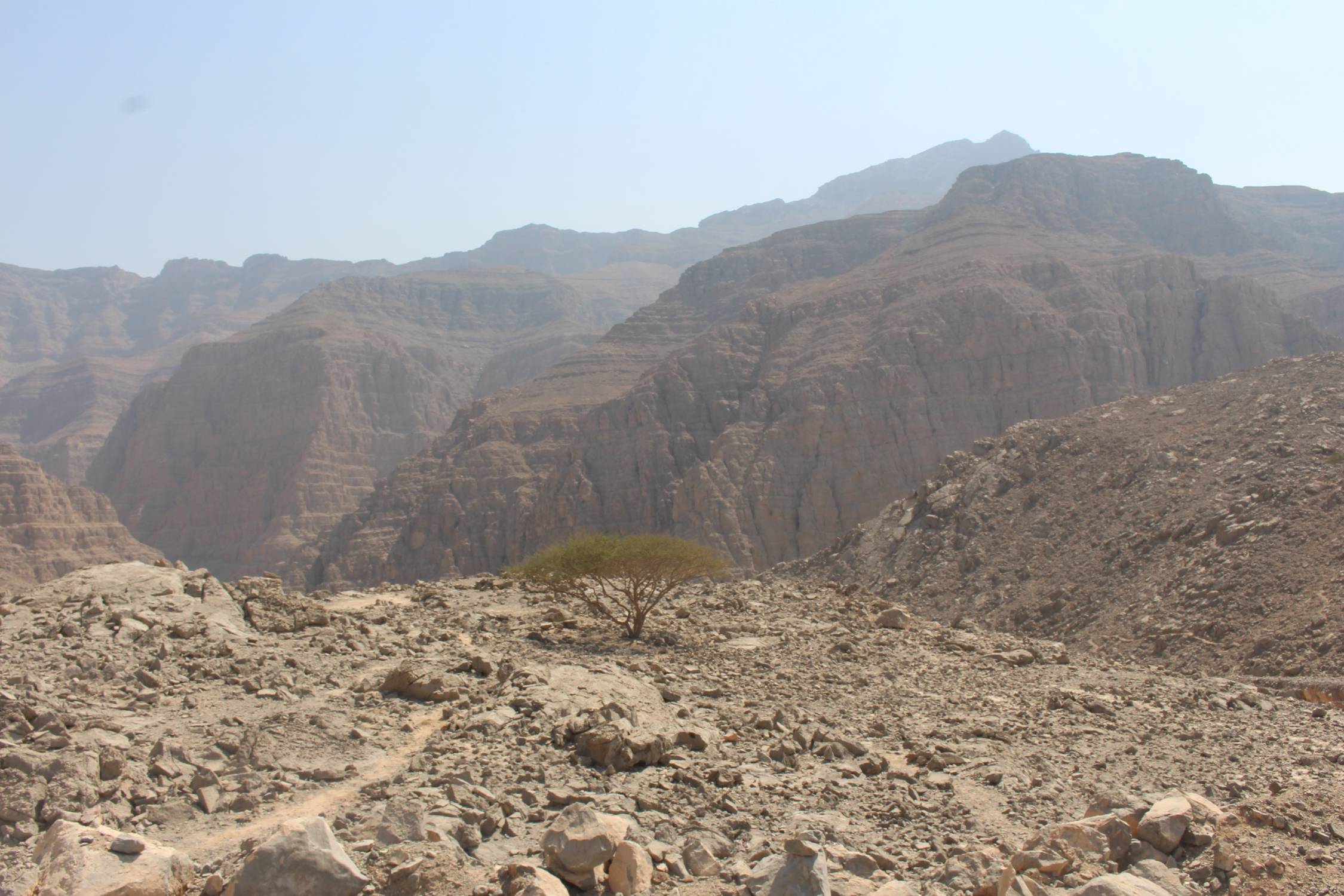 Jebel Jais, paysage