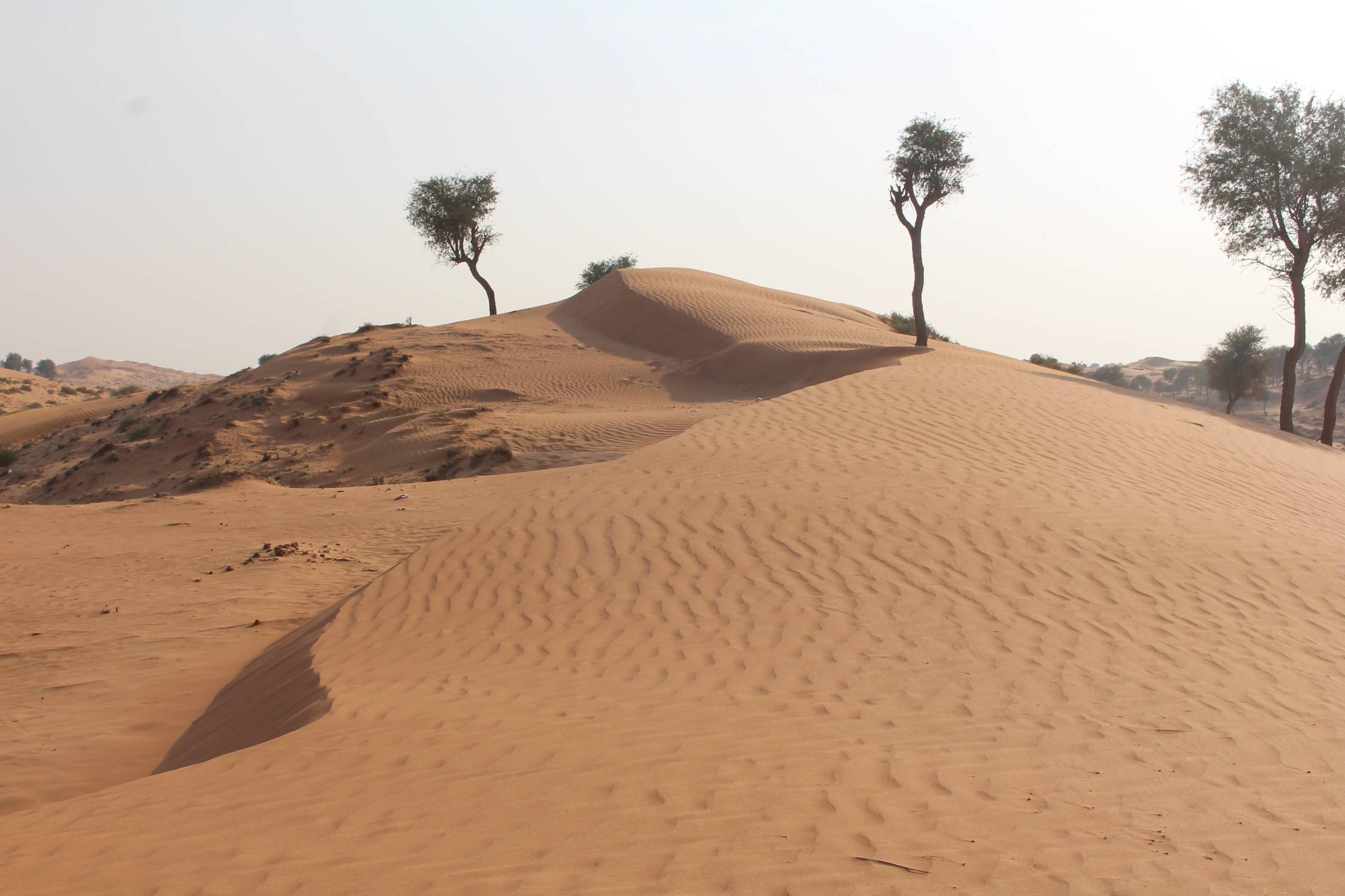 Ras Al Khaimah, dune