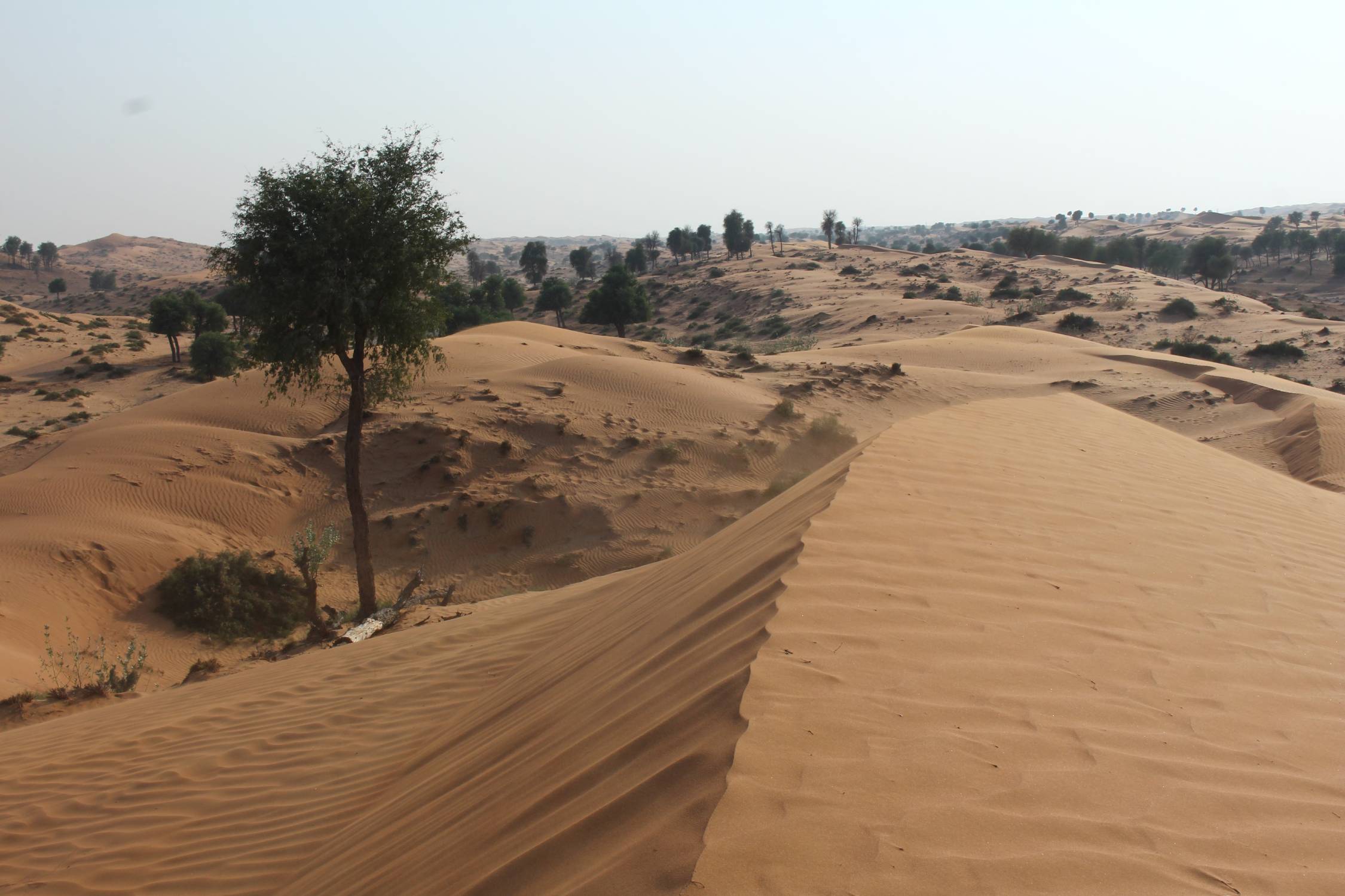 Ras Al Khaimah, sable