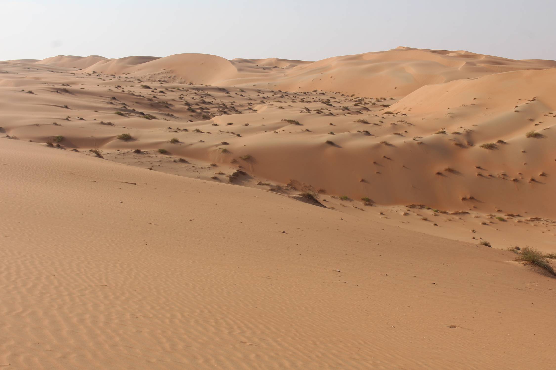 D&eacute;sert de Liwa