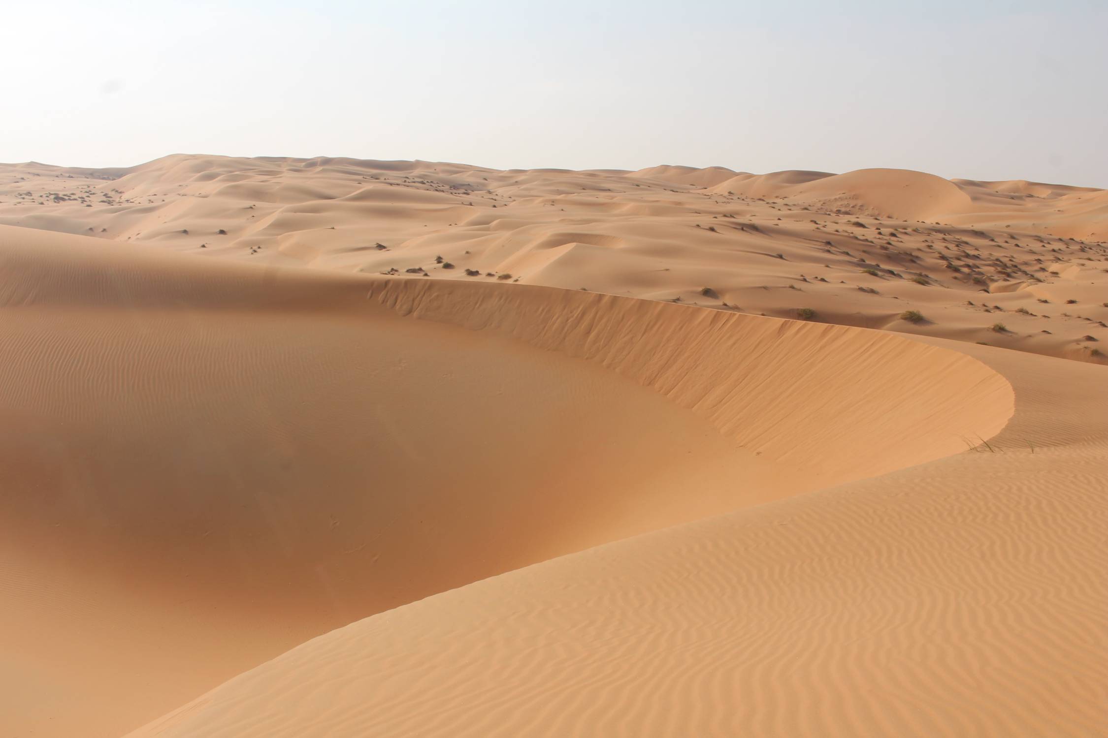 Dunes, d&eacute;sert de Liwa