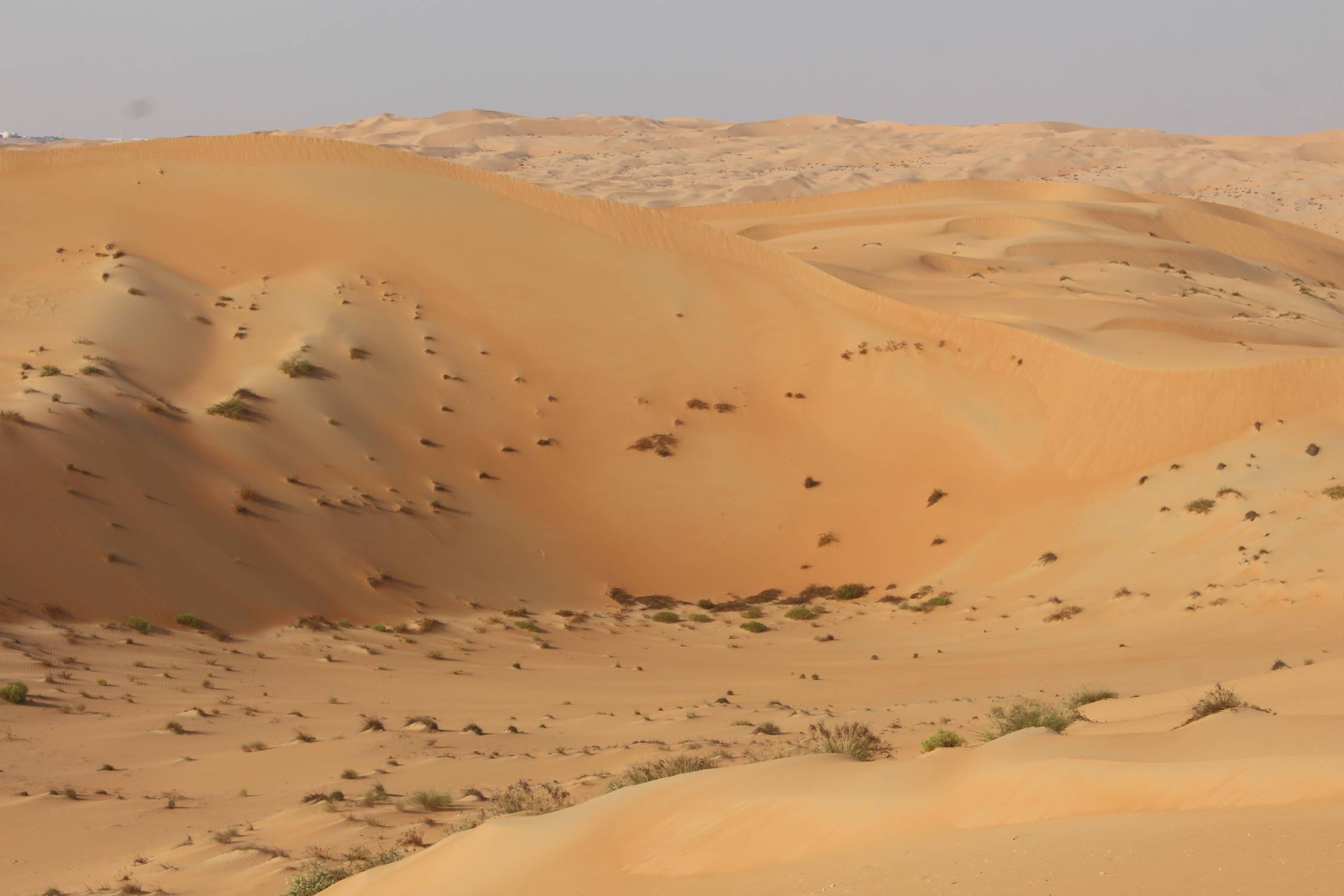 D&eacute;sert de Liwa, paysage