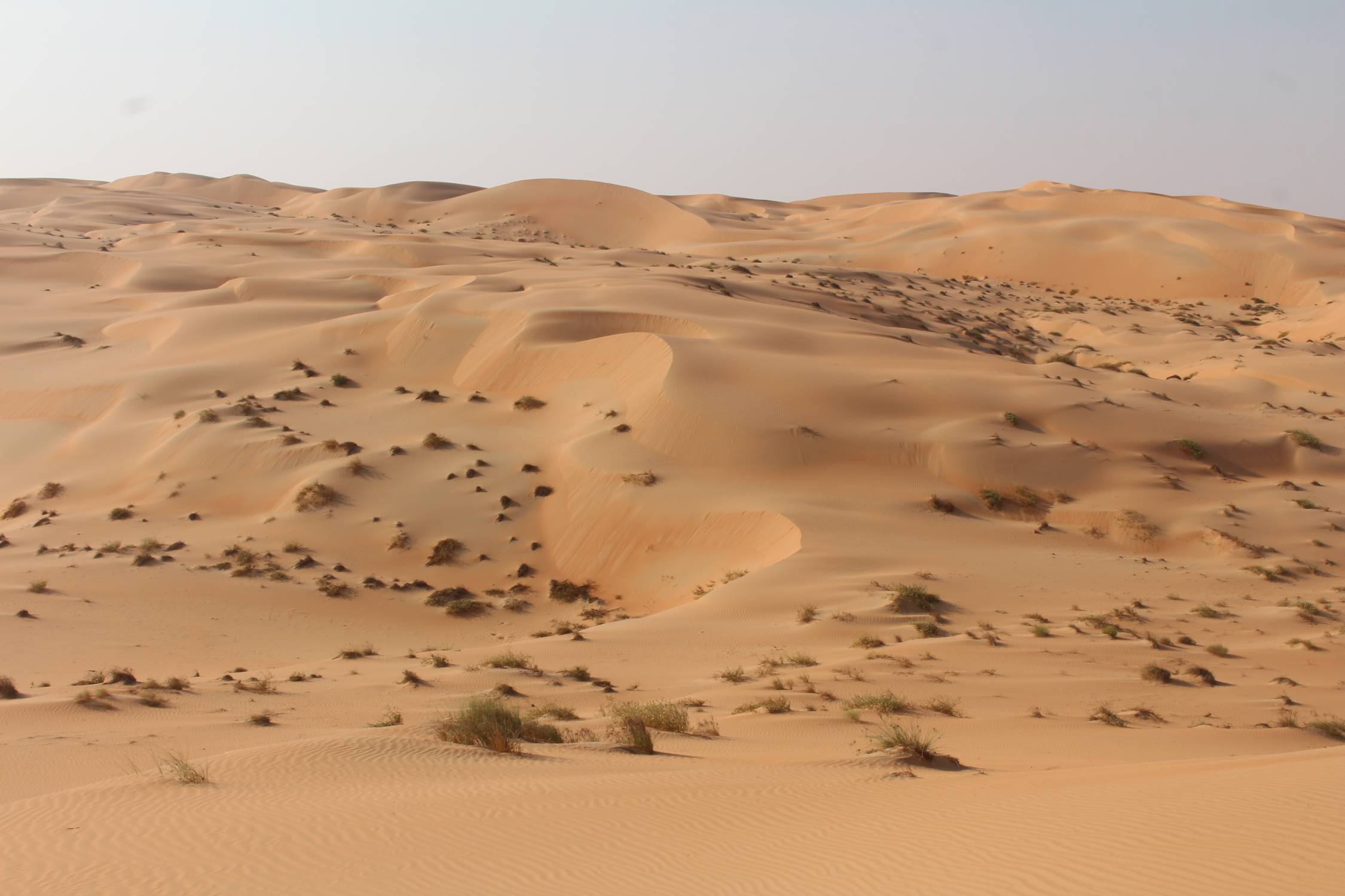 D&eacute;sert de Liwa, panorama
