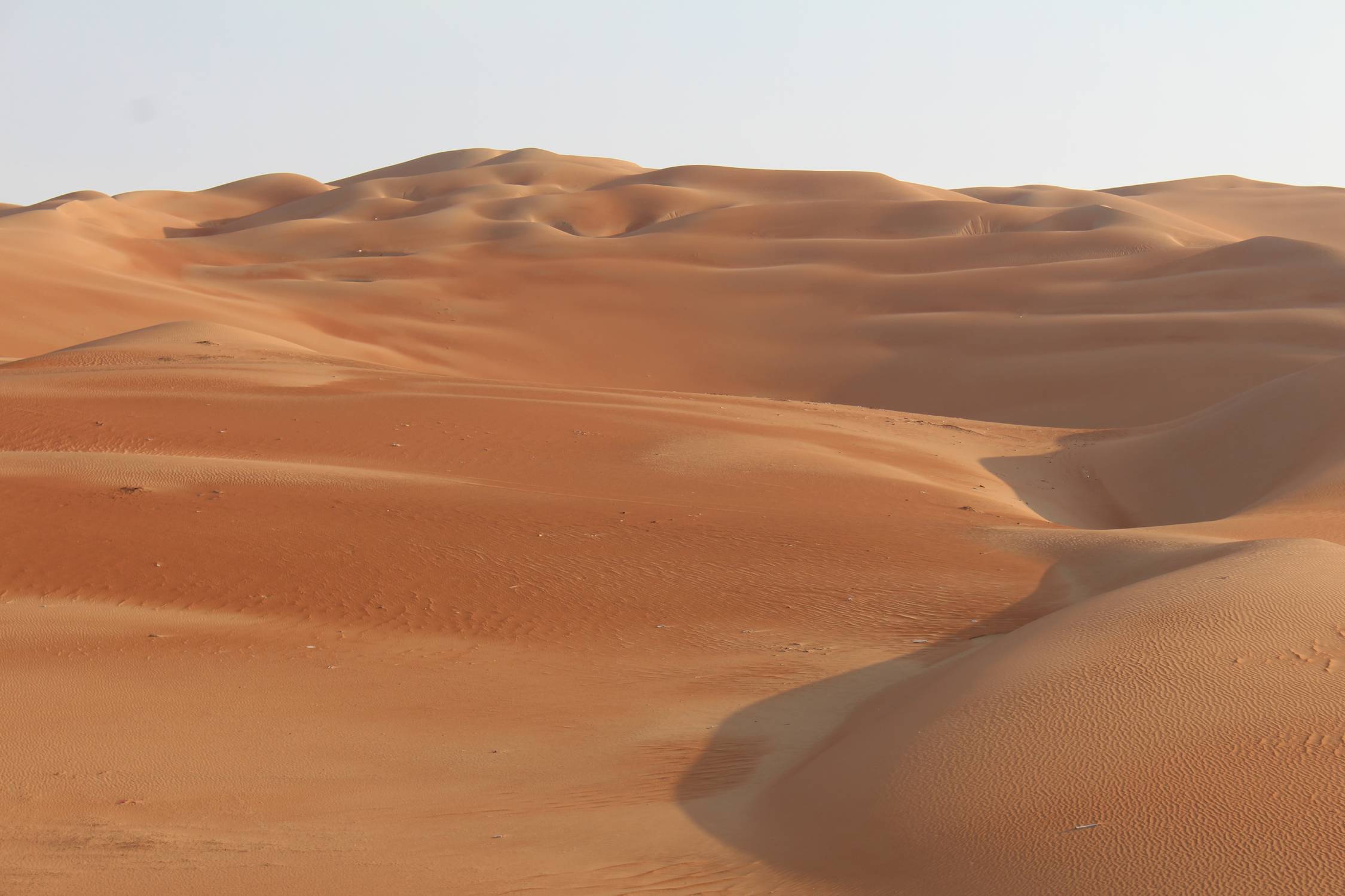 D&eacute;sert de Liwa, dunes de Moreeb, paysage