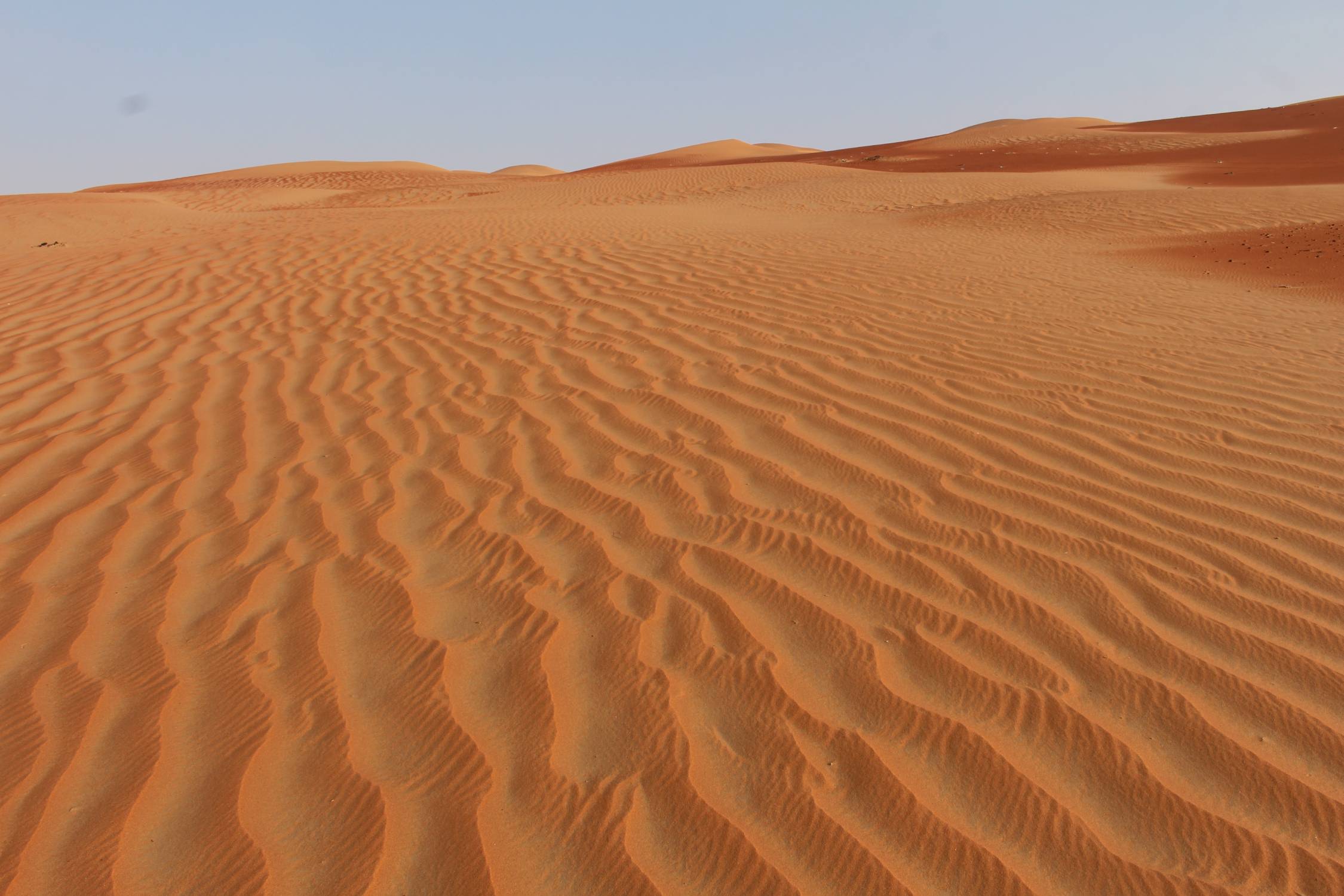 D&eacute;sert de Liwa, dunes de Moreeb, sable