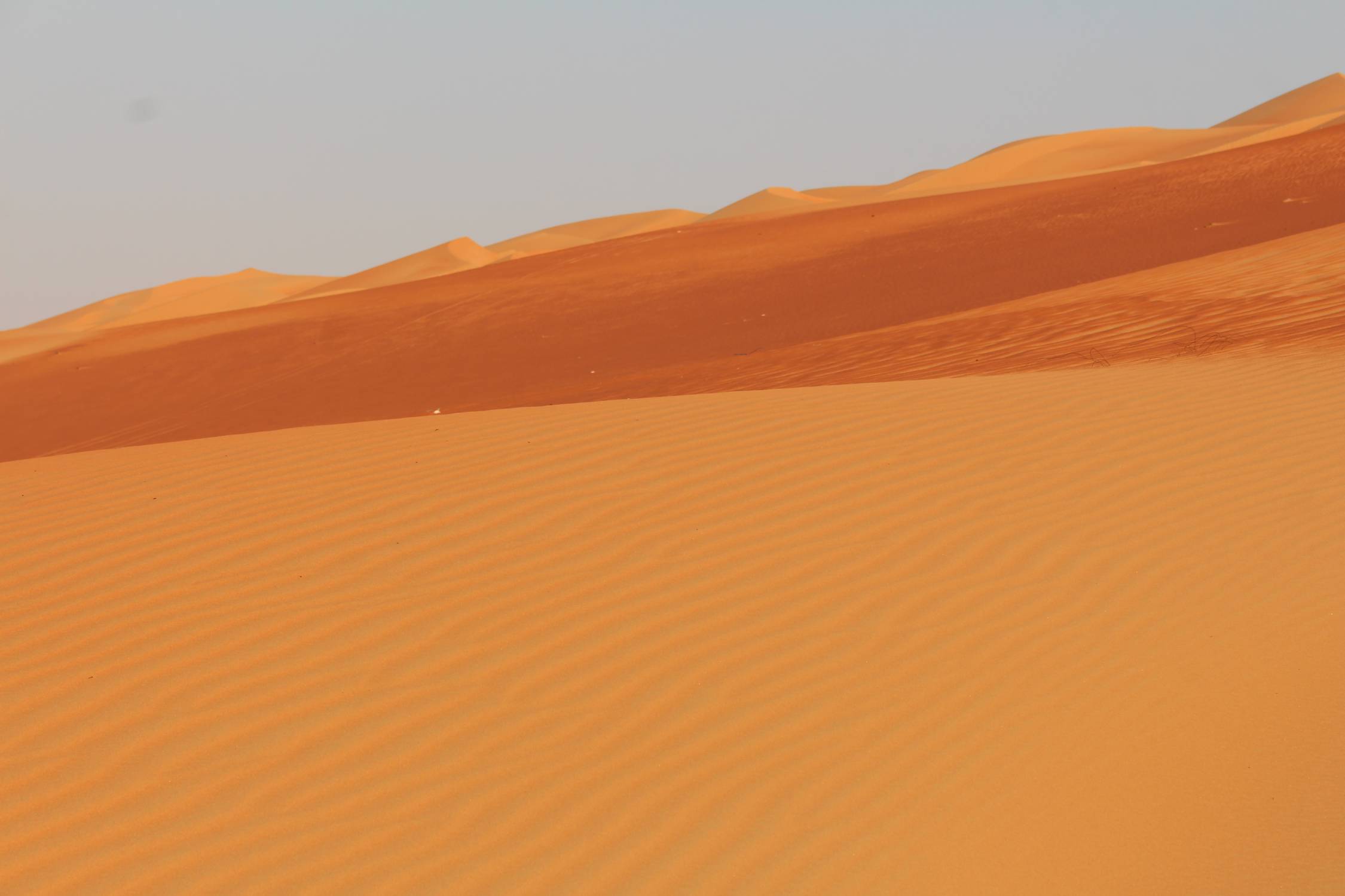 Paysage, d&eacute;sert de Liwa, dunes de Moreeb