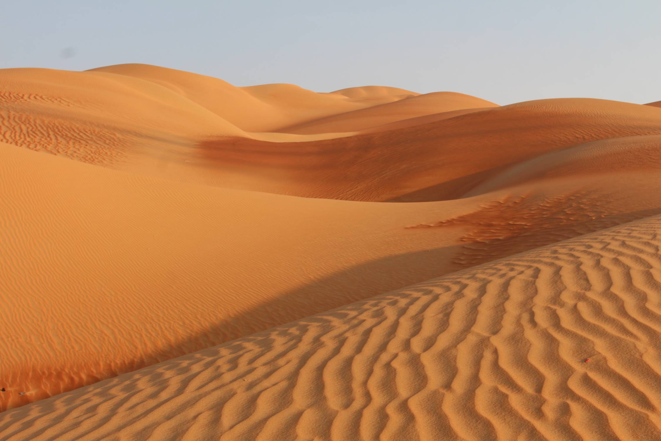 Emirats, D&eacute;sert de Liwa, dunes de Moreeb, paysage