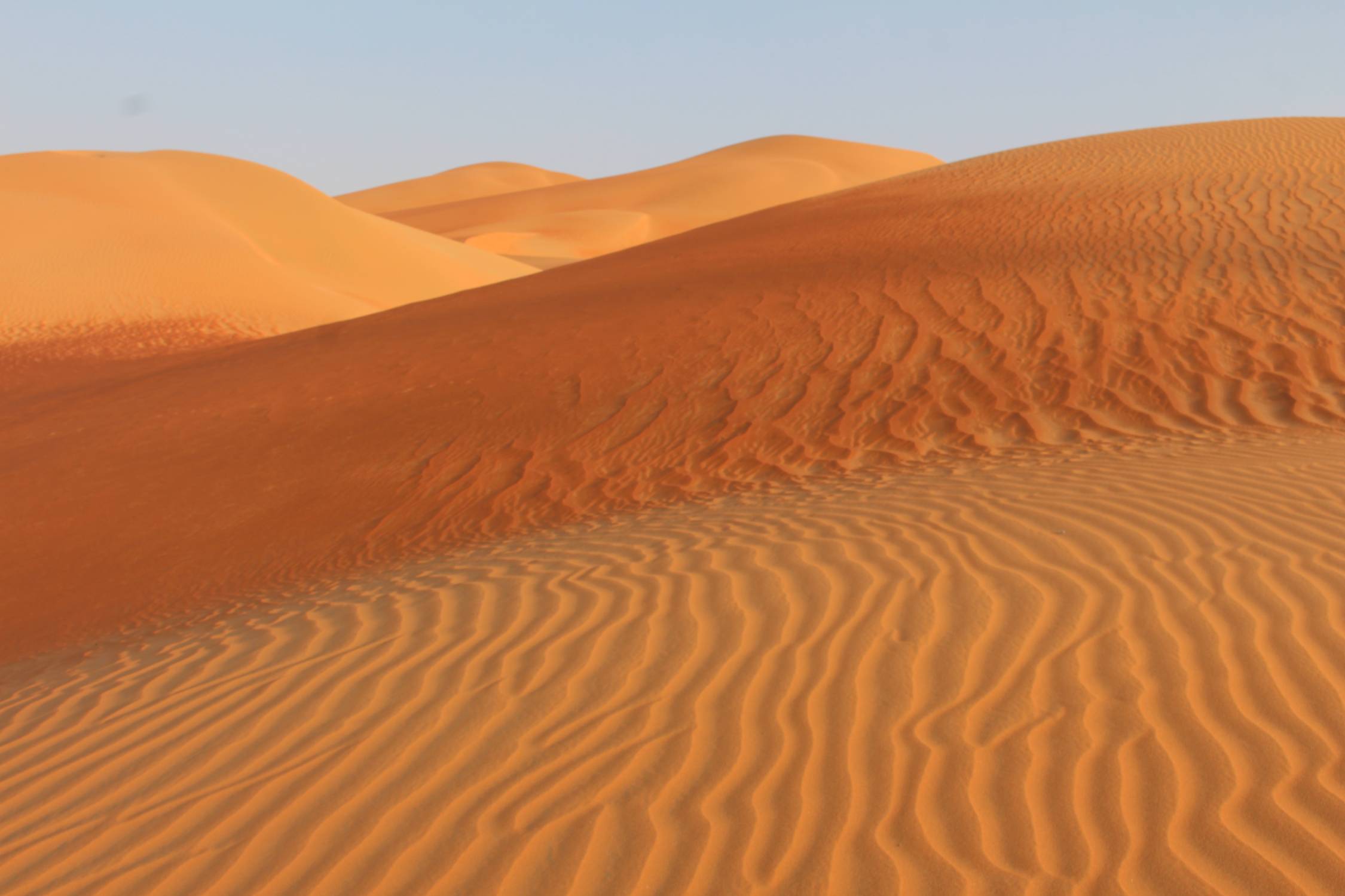 Emirats, D&eacute;sert de Liwa, dunes de Moreeb, panorama