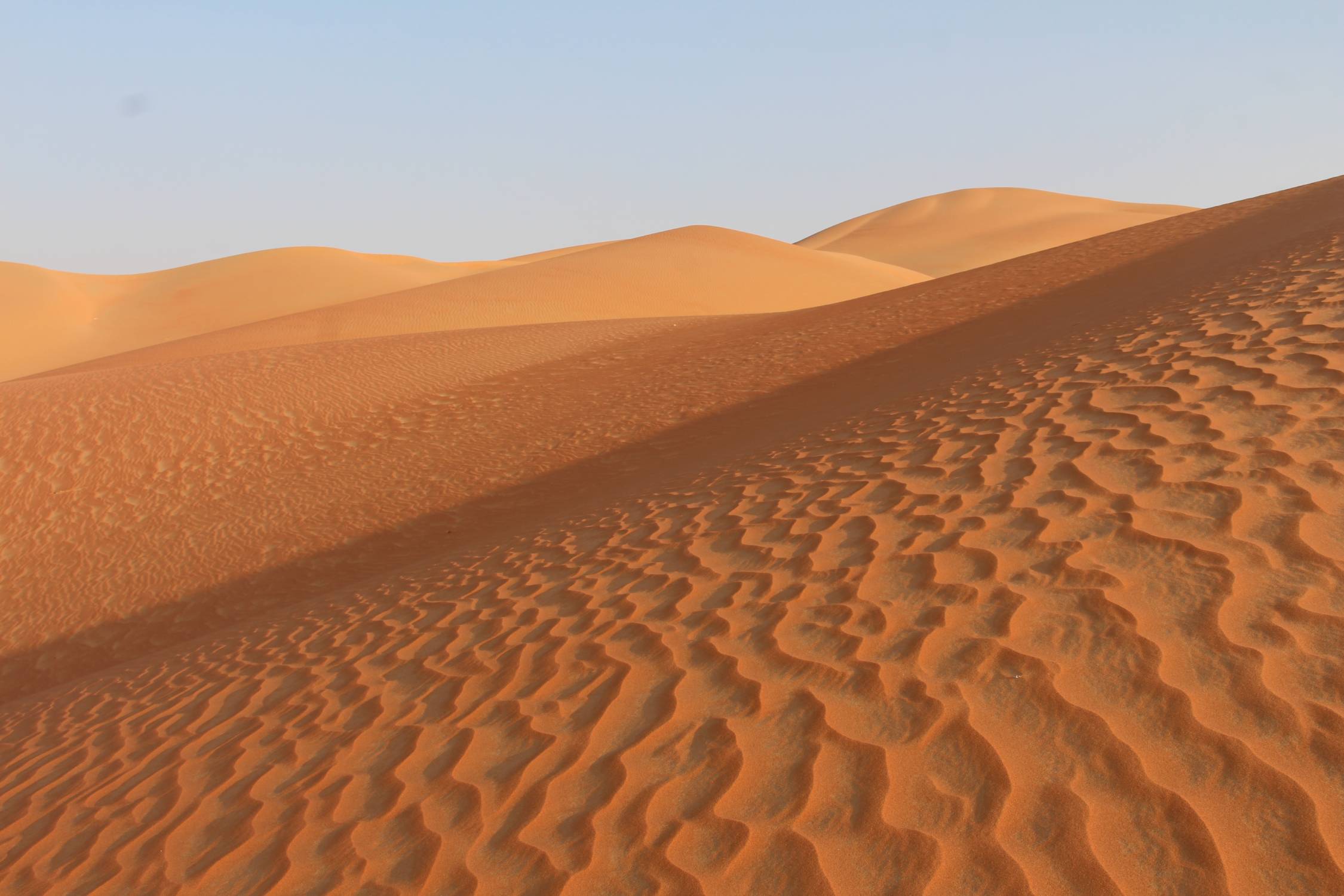 Emirats, D&eacute;sert de Liwa, Moreeb