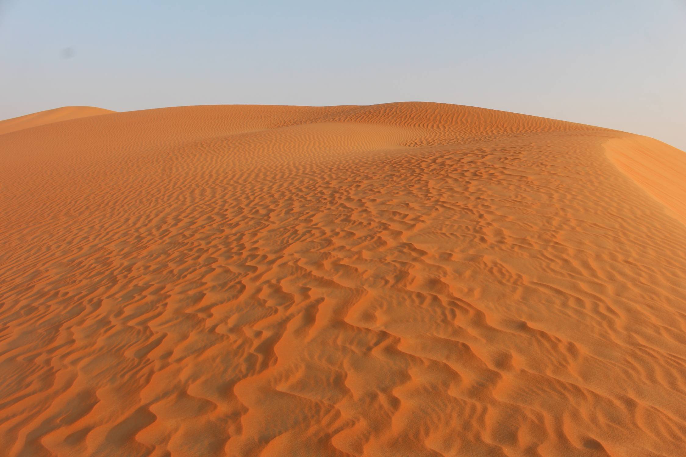 Emirats, D&eacute;sert de Liwa, Moreeb, dunes, panorama