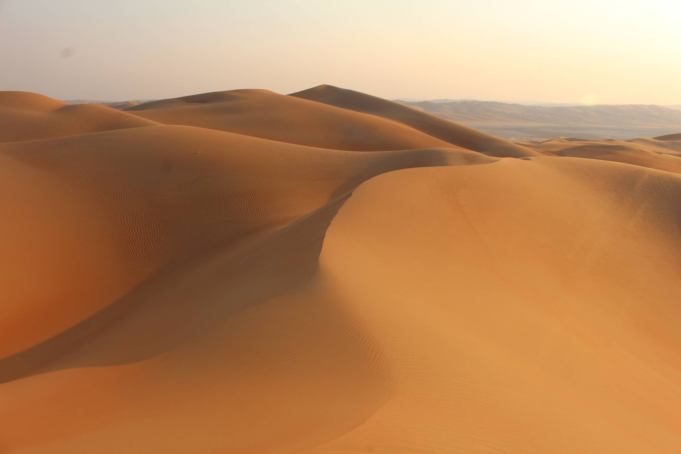 D&eacute;sert de Liwa, Emirats, Moreeb