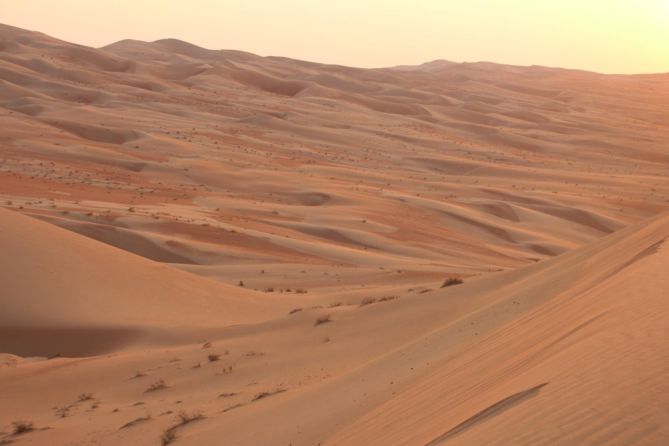 Paysage, d&eacute;sert de Liwa, Moreeb