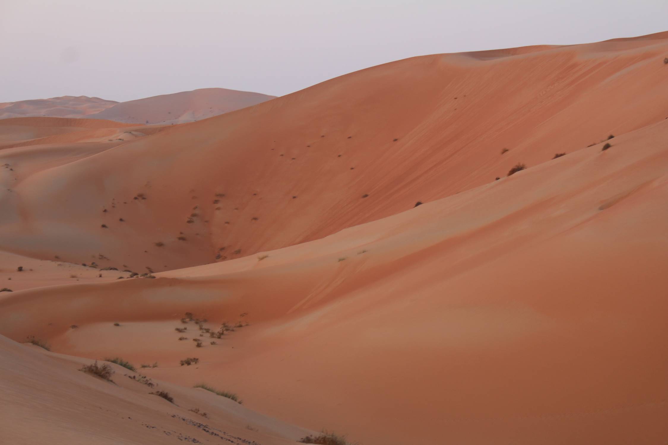 Moreeb, d&eacute;sert de Liwa, panorama