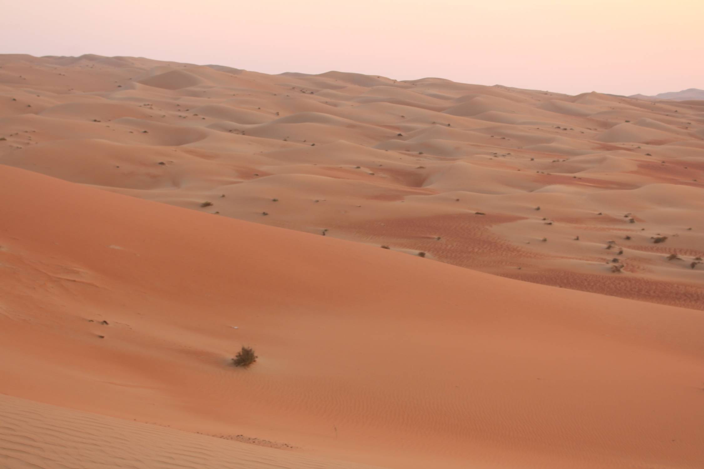 Emirats Arabes Unis, d&eacute;sert de Liwa