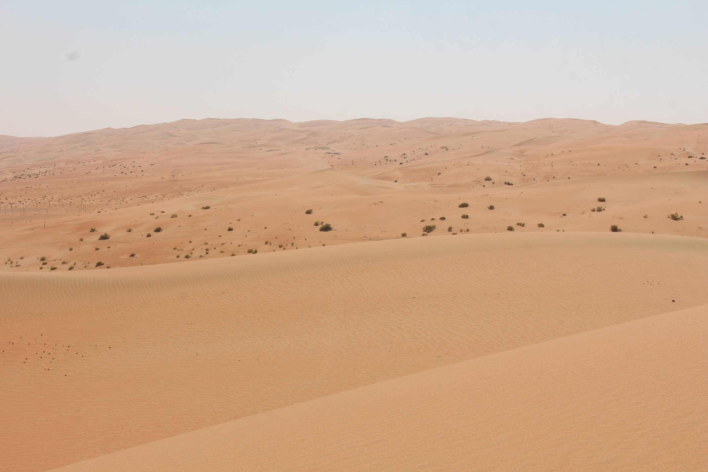 Al Burair, d&eacute;sert de Liwa, dunes