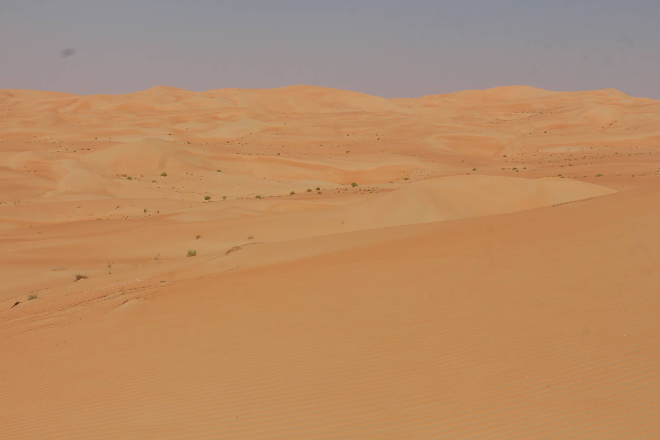 D&eacute;sert de Liwa, Emirats