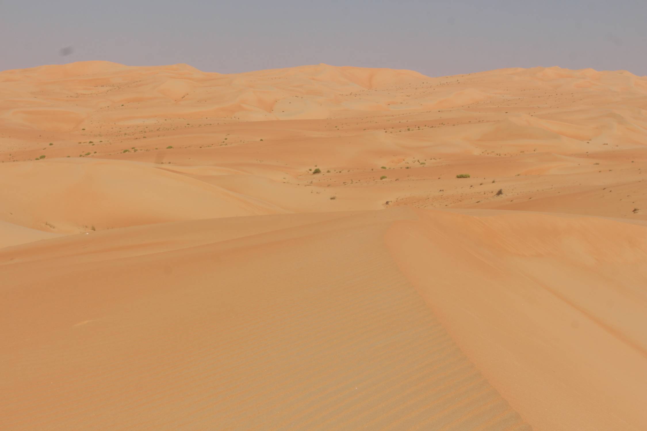 D&eacute;sert de Liwa, Emirats, paysage