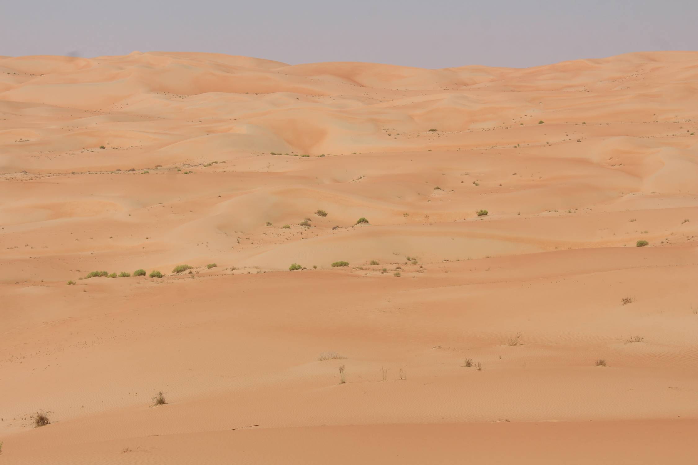 D&eacute;sert de Liwa, Emirats, dunes