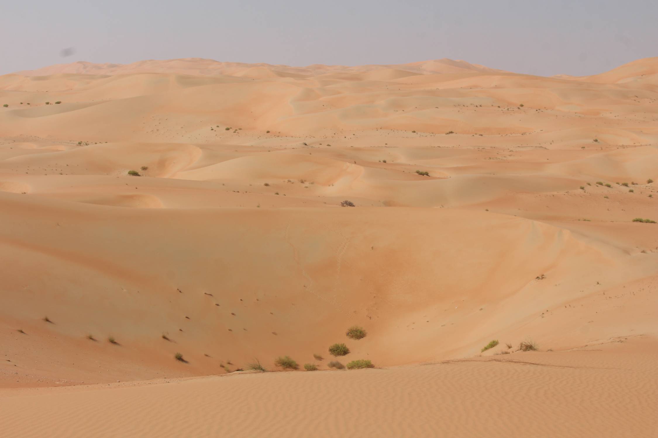 D&eacute;sert de Liwa, dunes, Emirats