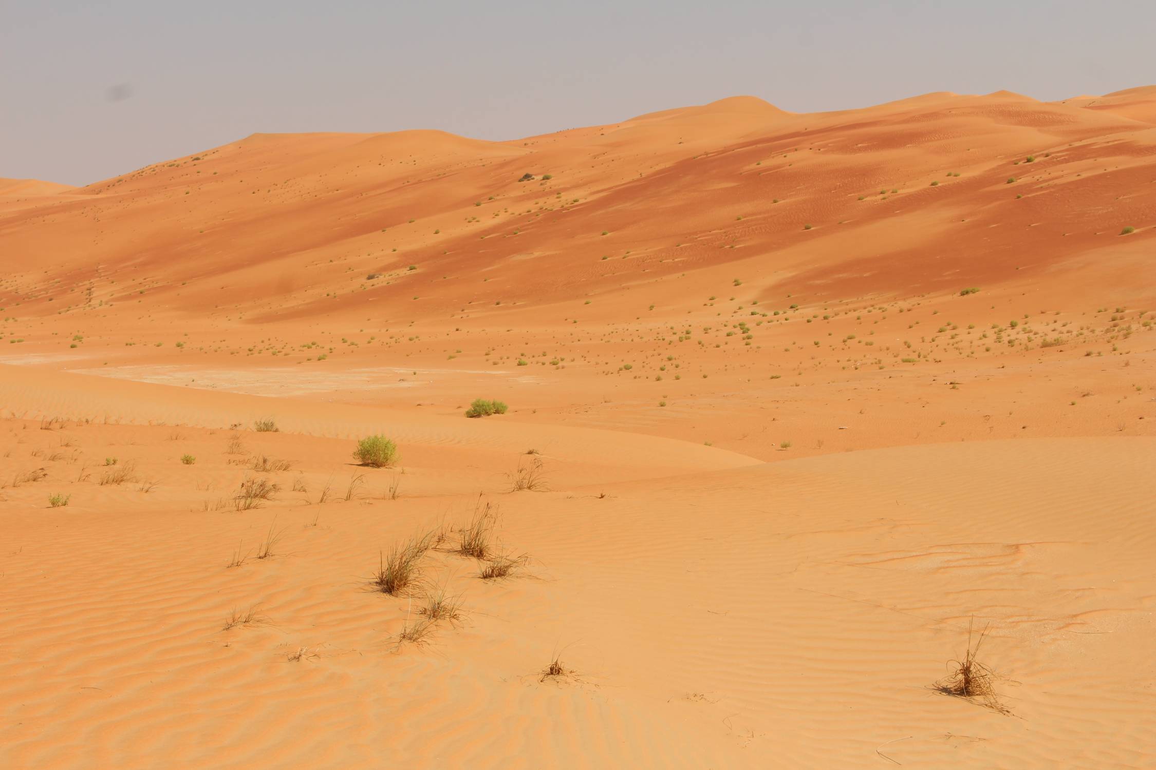 D&eacute;sert de Liwa, dunes rouges