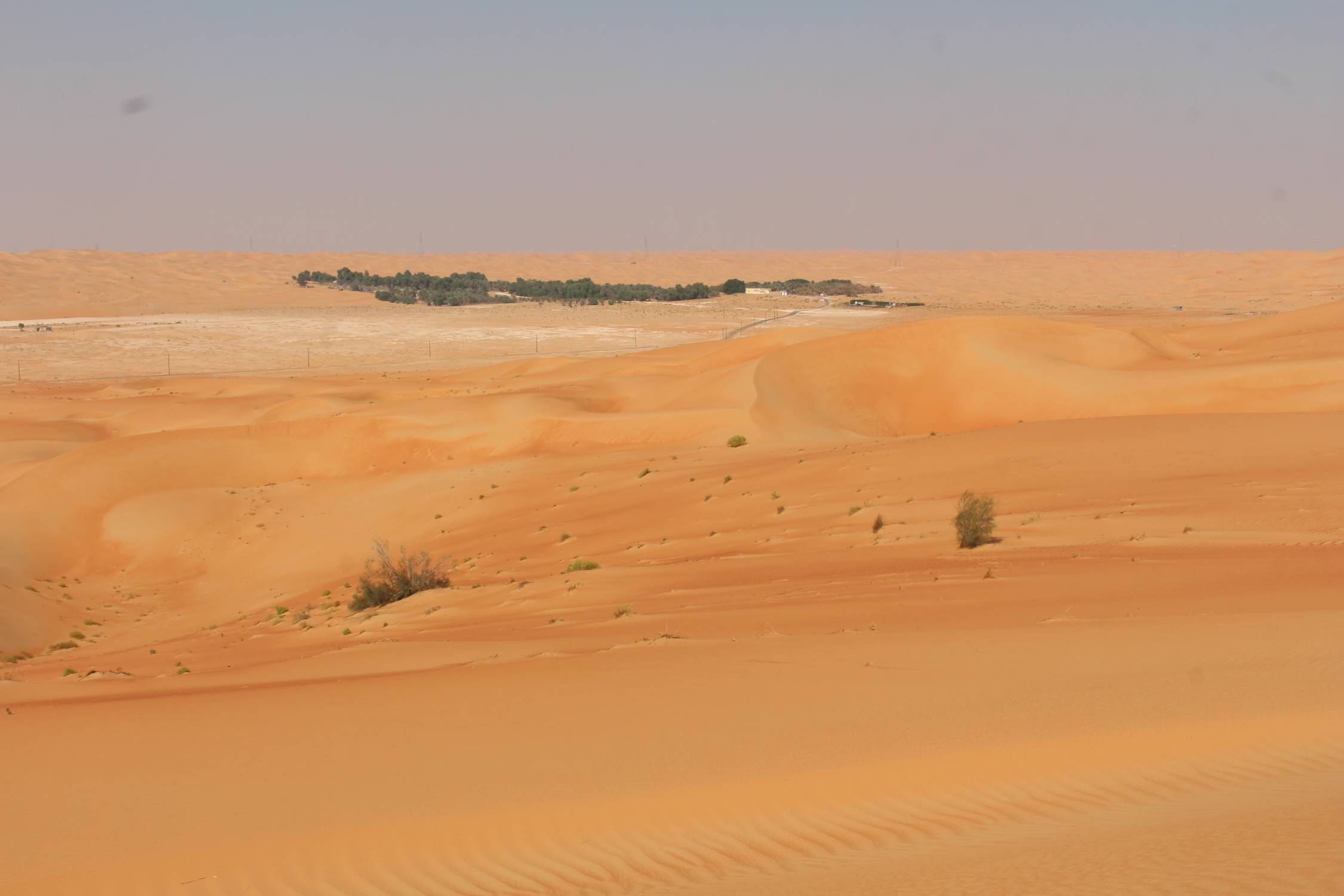 D&eacute;sert de Liwa, Mahdar bin Usayyan
