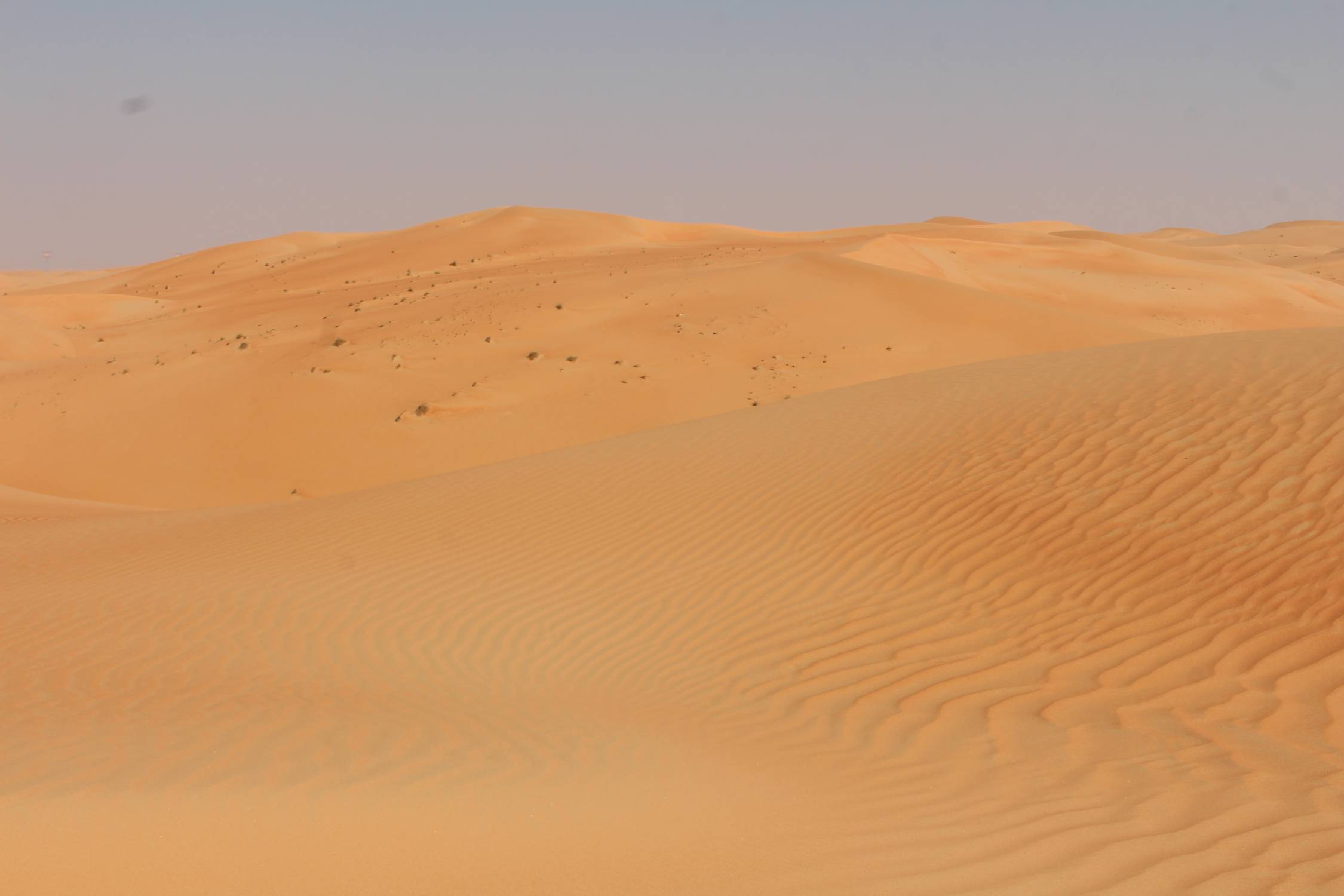 D&eacute;sert de Liwa, Mahdar Saleem