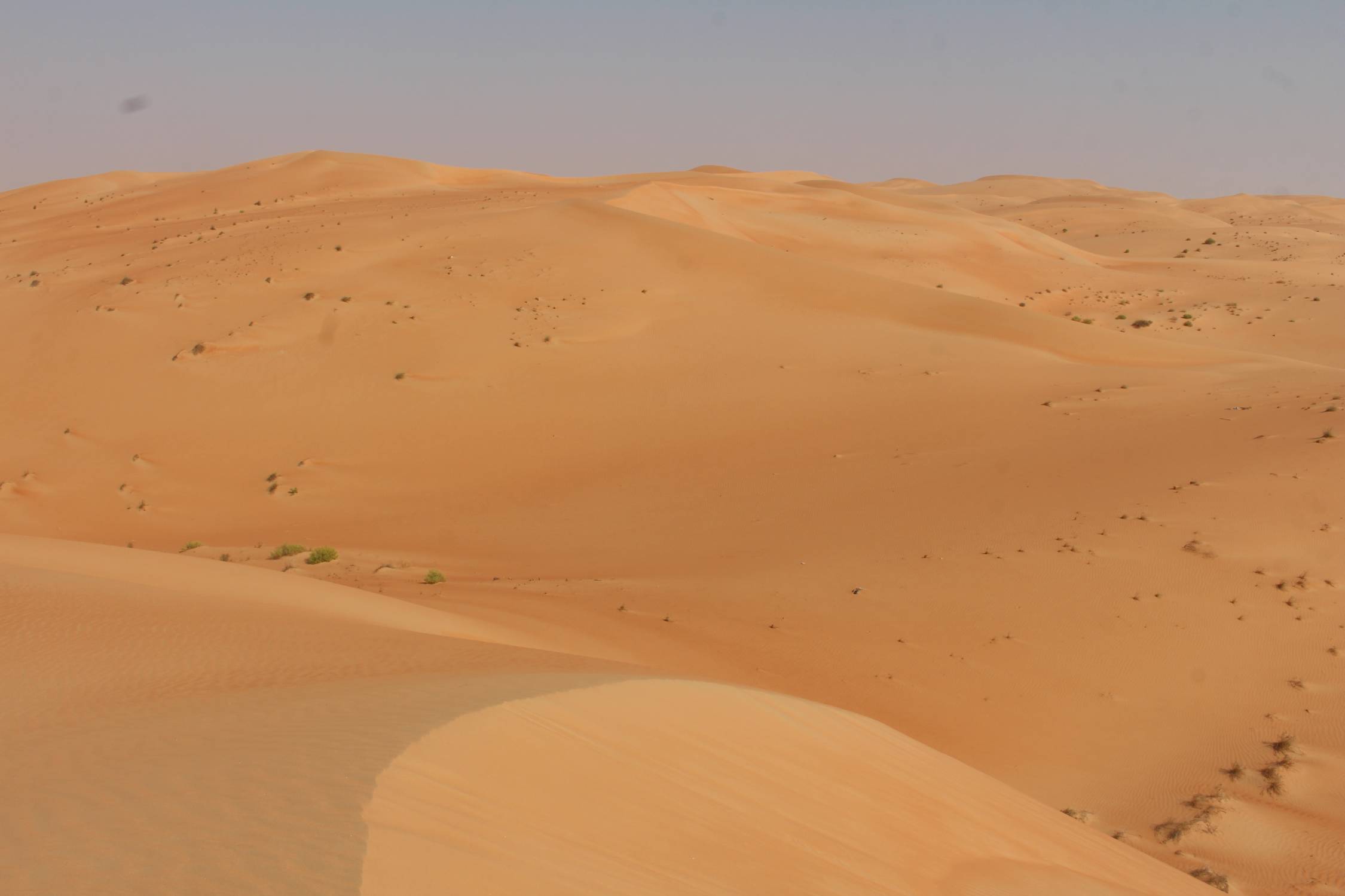Paysage, Emirats, d&eacute;sert de Liwa