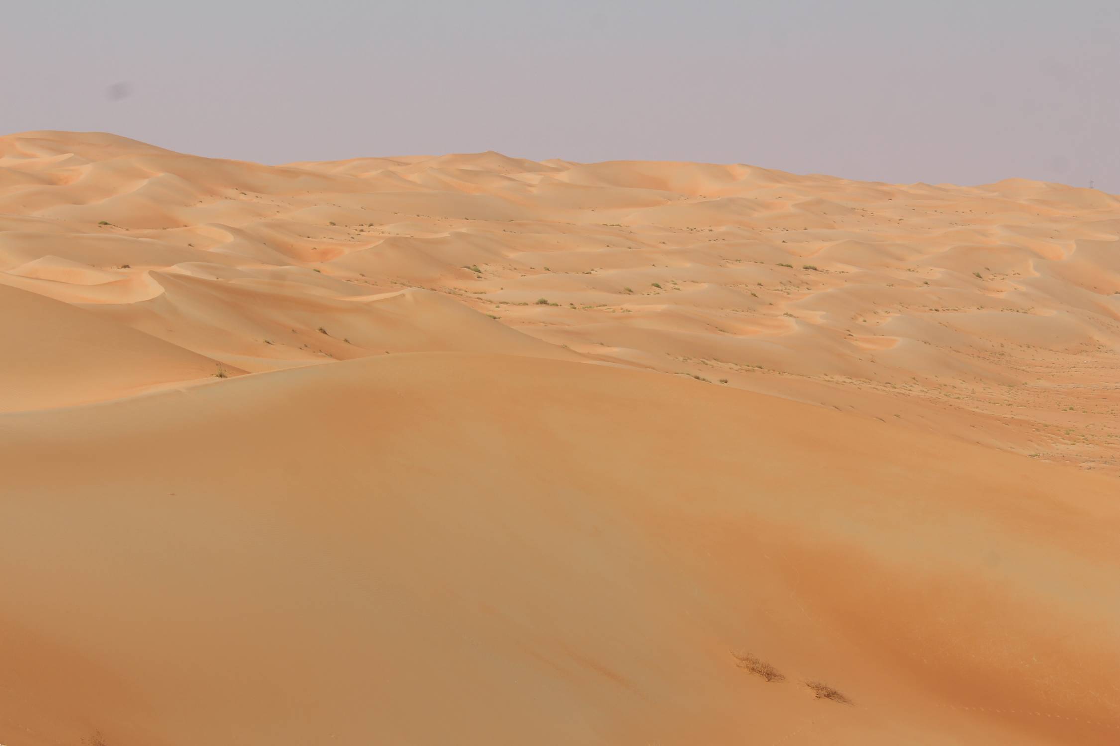Dunes, Emirats, d&eacute;sert de Liwa