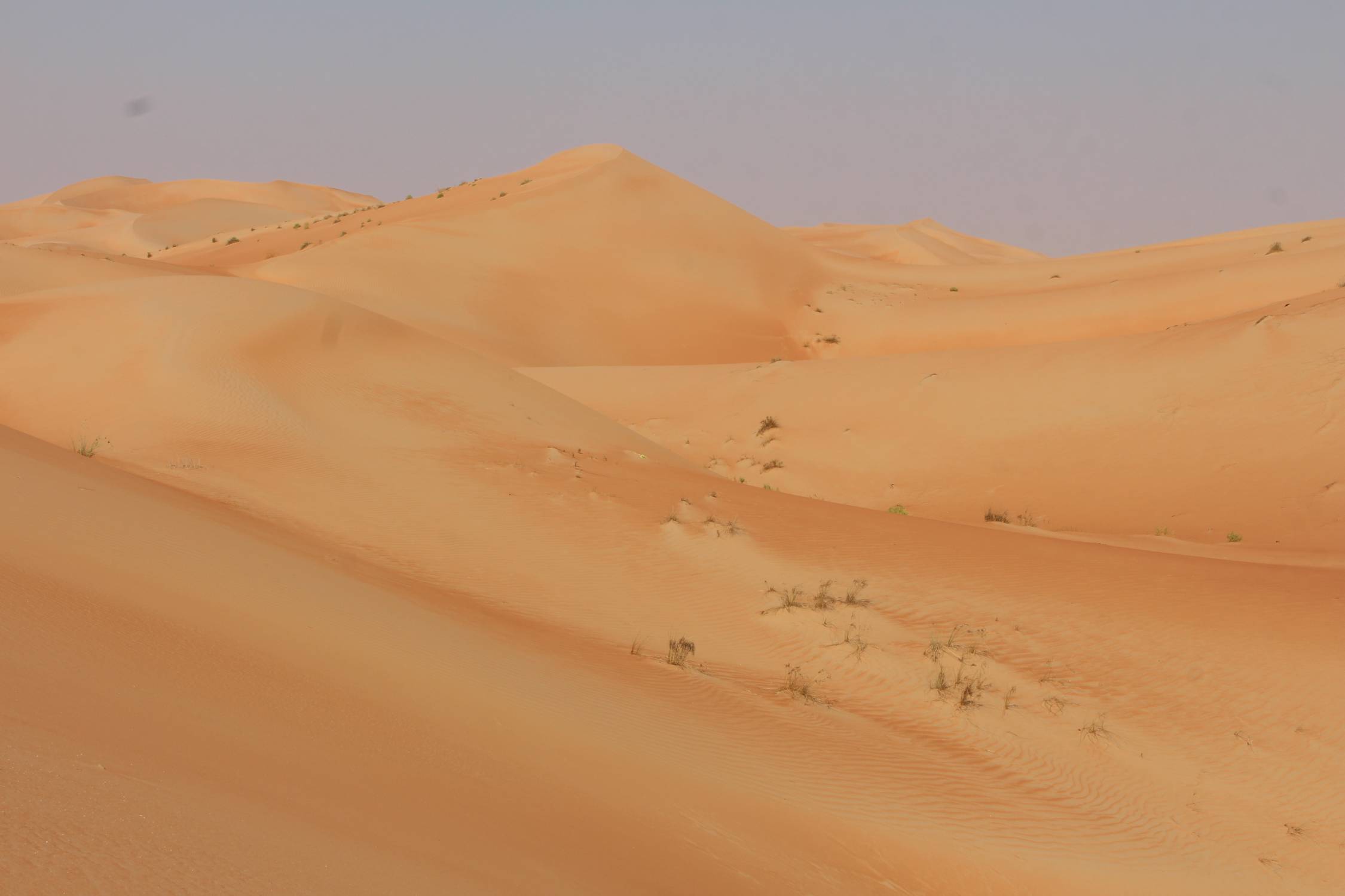Panorama, d&eacute;sert de Liwa