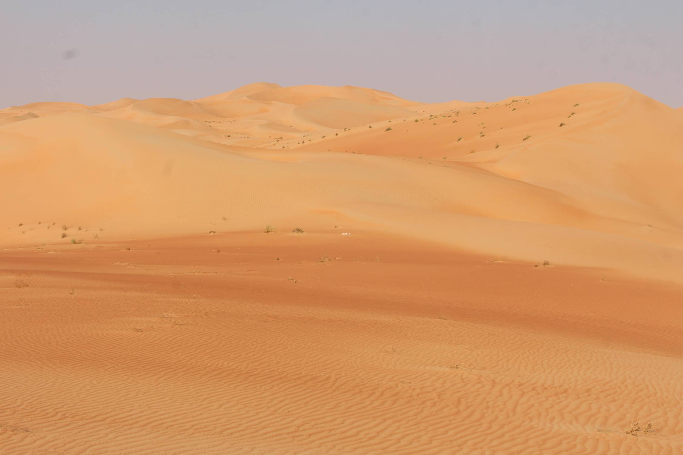 D&eacute;sert de Liwa, Emirats Arabes Unis