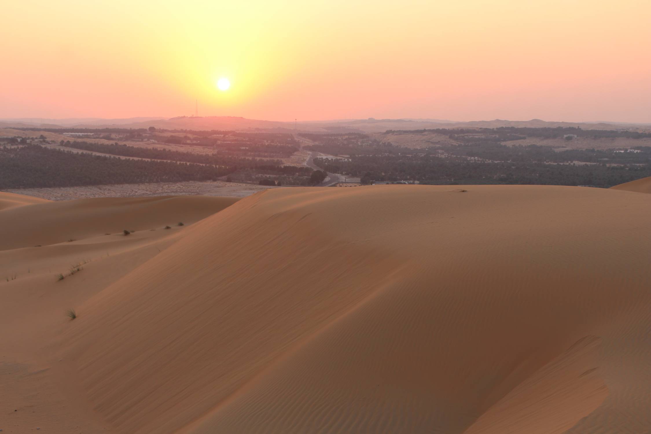 Oasis de Liwa, dunes