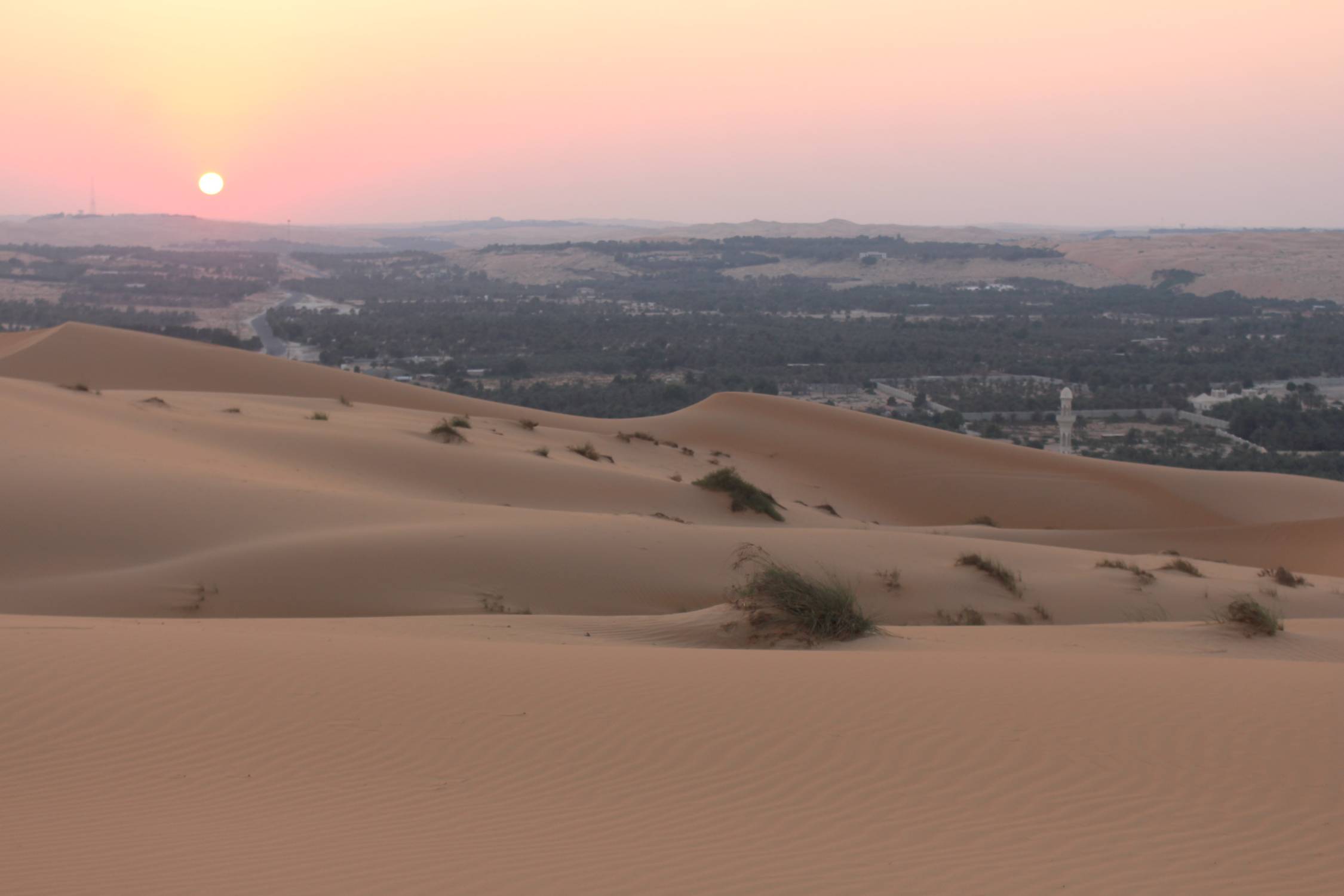 Oasis de Liwa, coucher de soleil