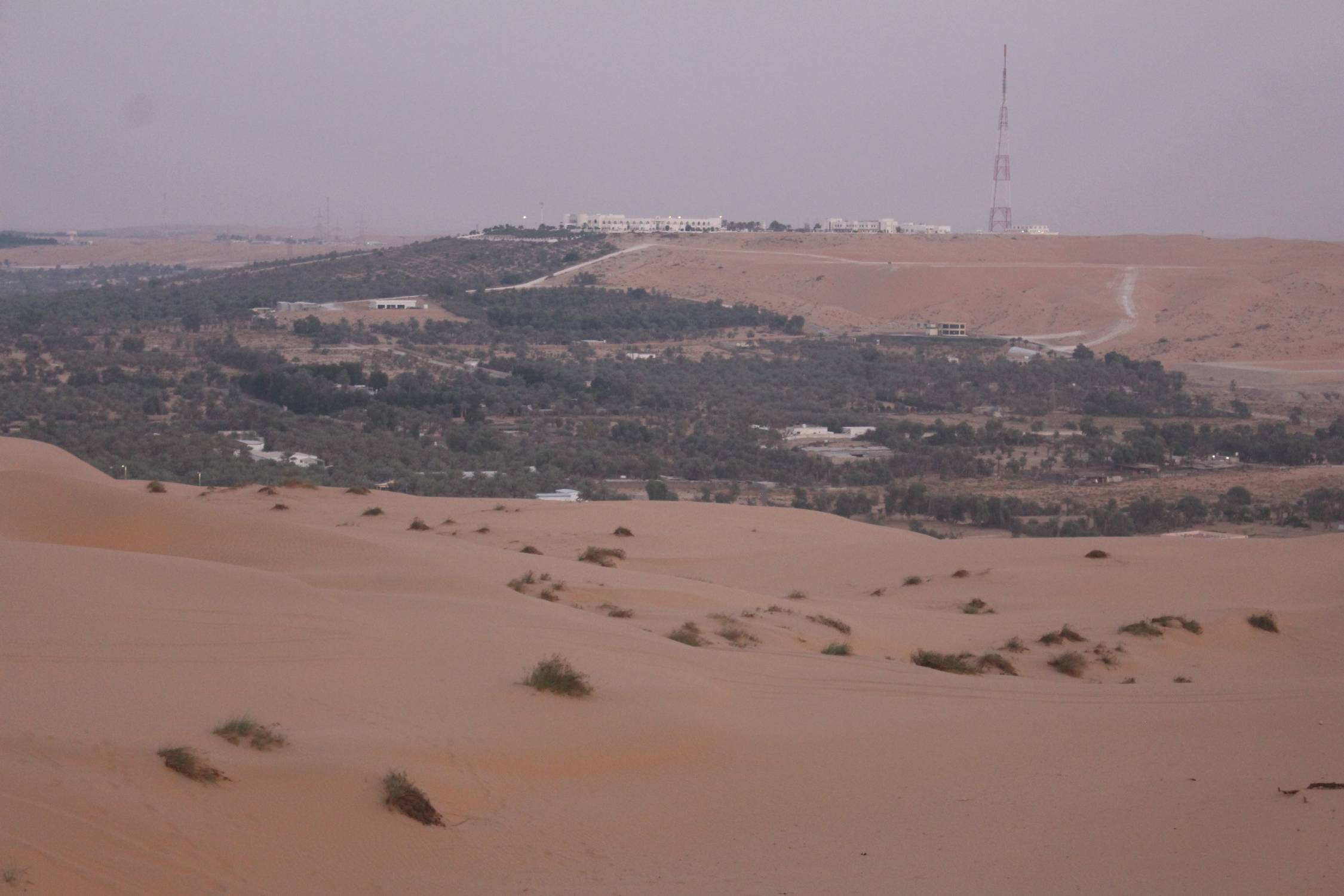 Oasis de Liwa