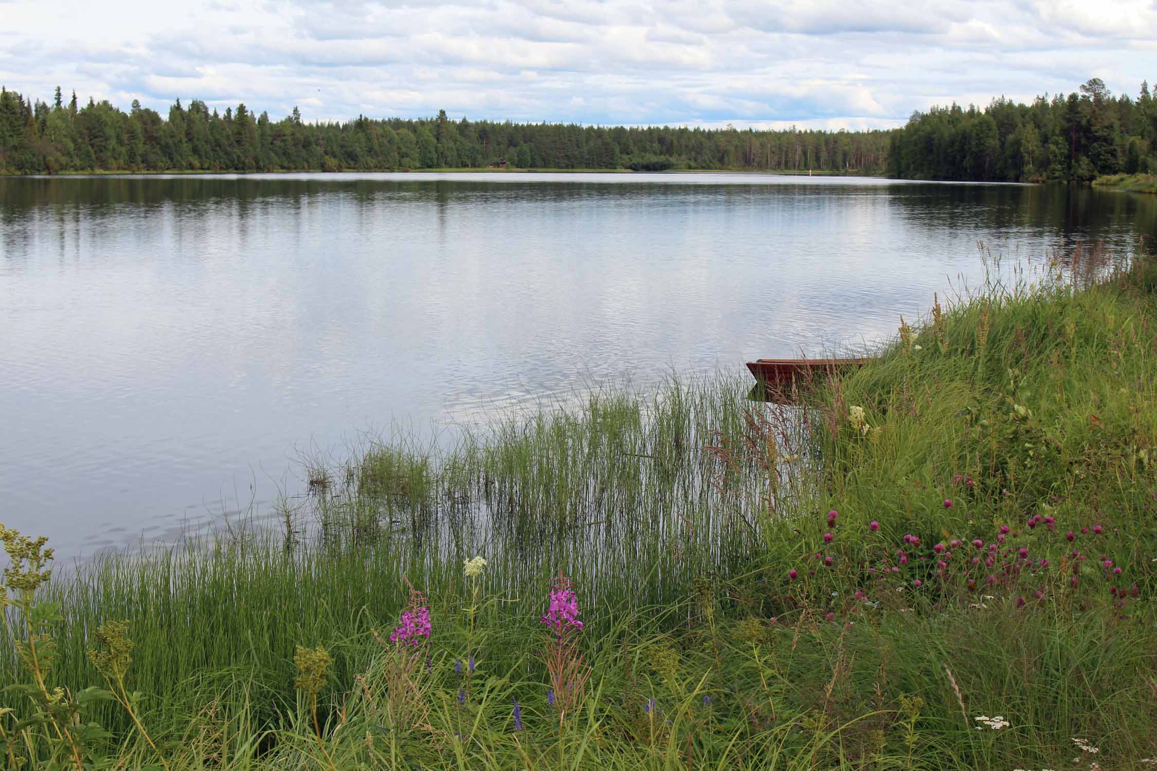 Laponie, rivière Kitinen