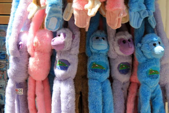 Gibraltar, peluches de singes