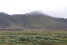 Islande, Vegahnjukur, vall&eacute;e