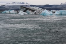 Islande, J&ouml;kuls&aacute;rl&oacute;n, phoques