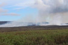 Islande, volcan Sundhnuksgigarod, lave