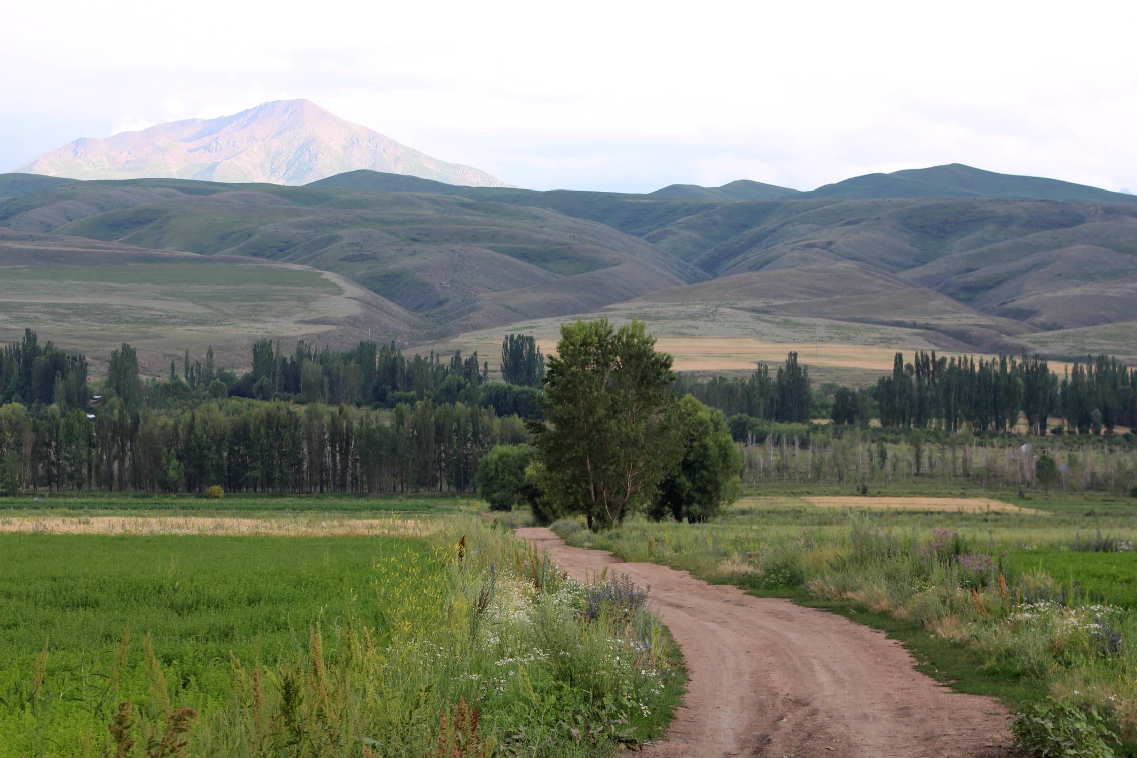 Jeti-&Ouml;g&uuml;z, Ala-Too, paysage