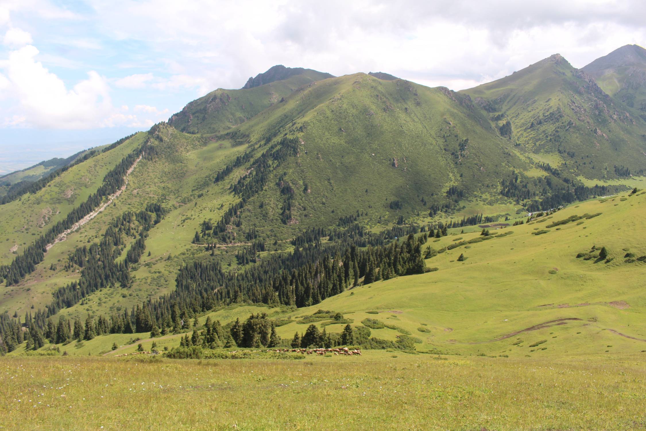 Parc national de Karakol