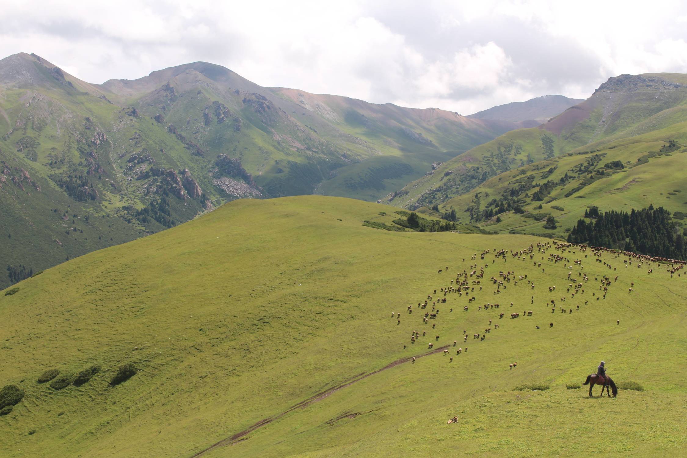Parc national de Karakol, steppe