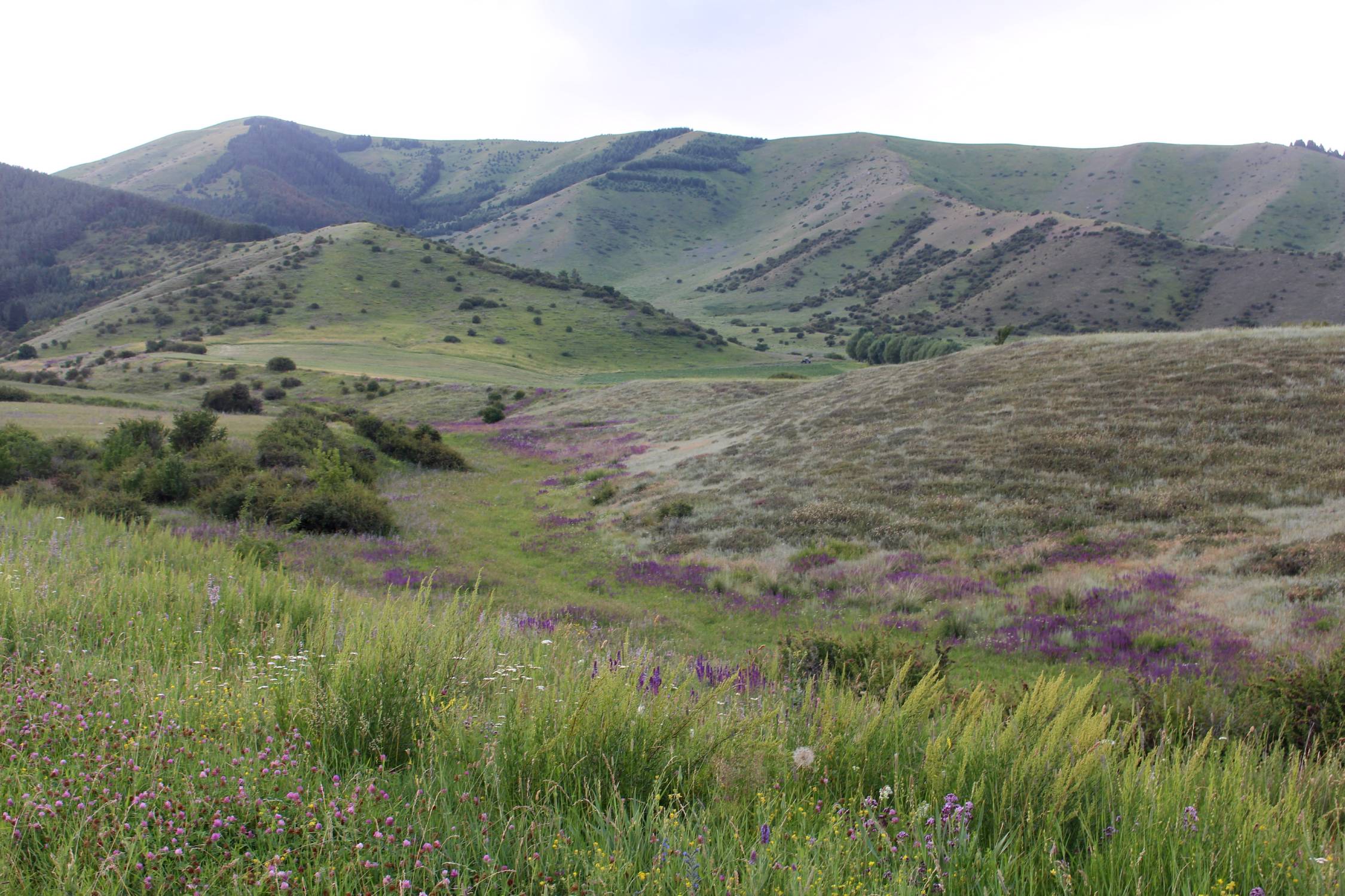 Karakol, Altyn-Arashan, paysage