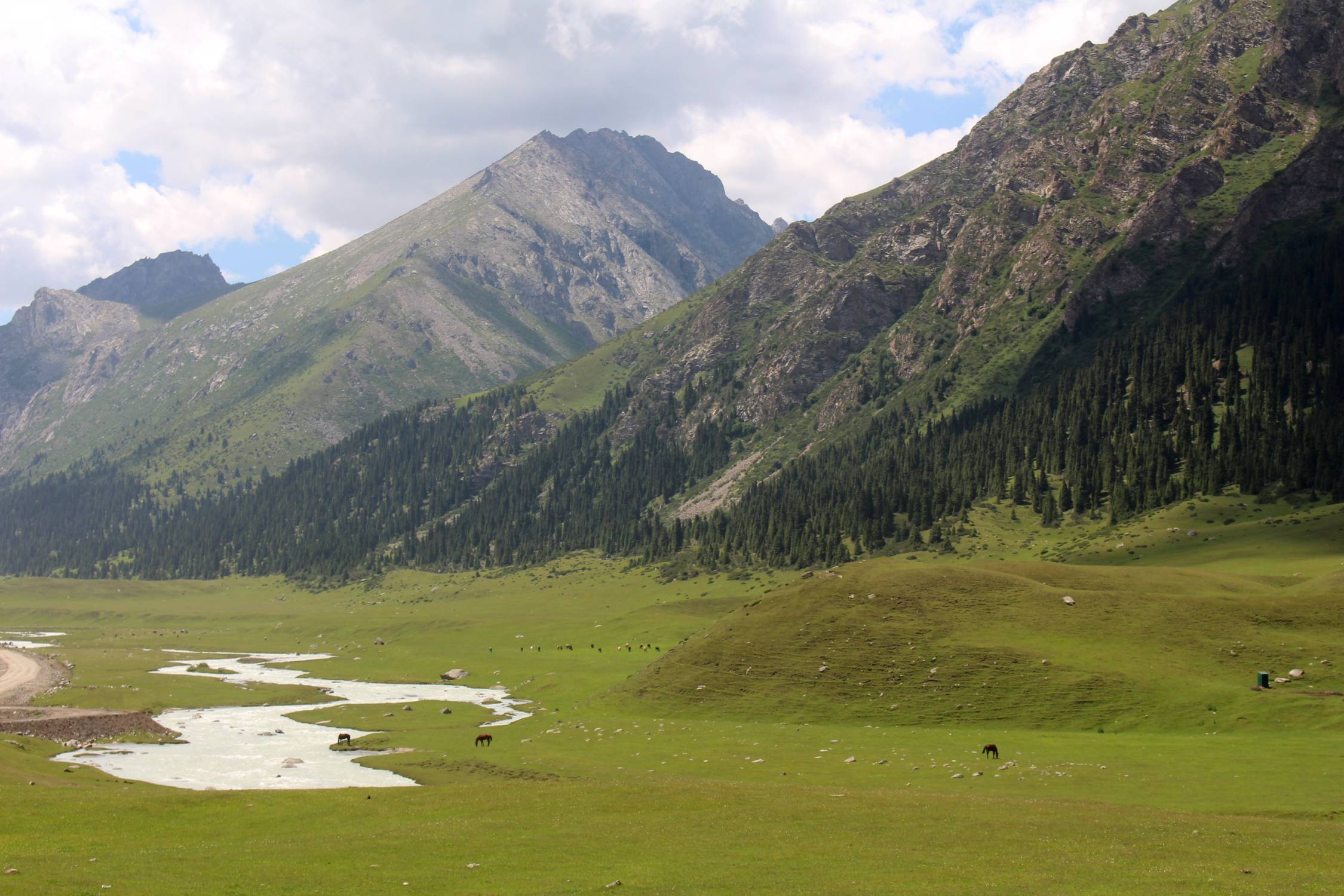Vall&eacute;e de Turgen Jailoo, steppe