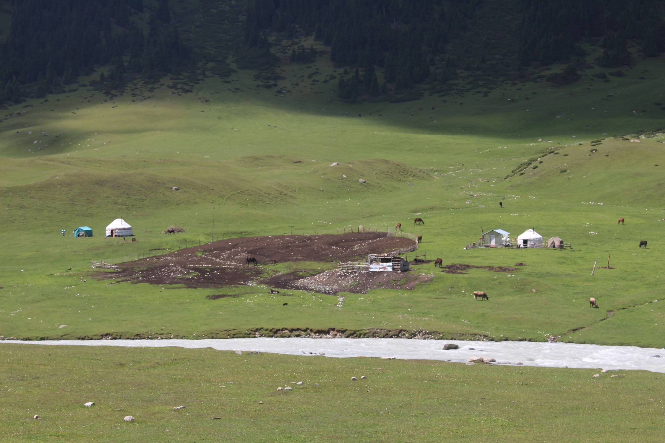 Vall&eacute;e de Turgen Jailoo, yourtes