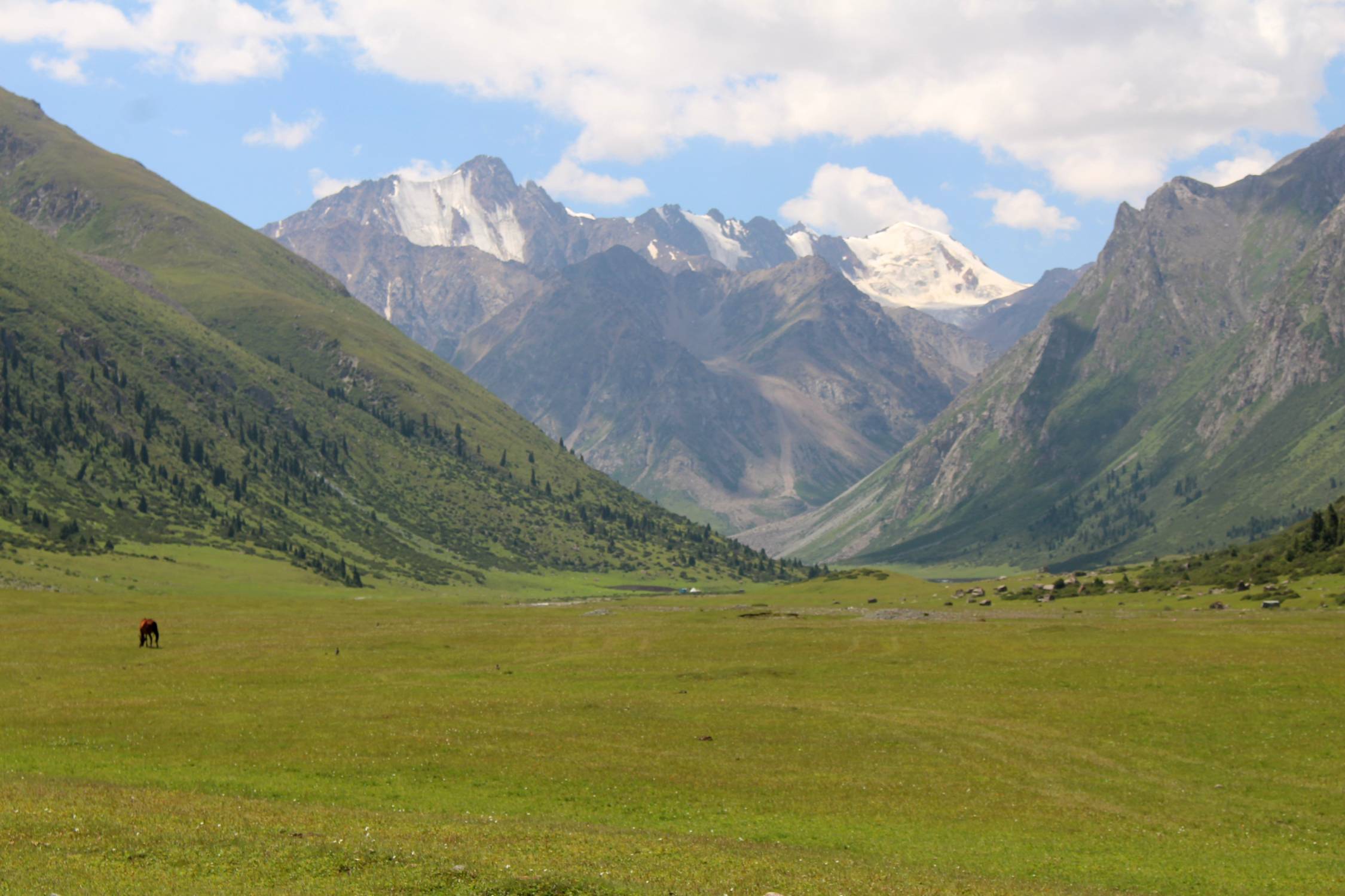Vall&eacute;e de Turgen Jailoo, paysage