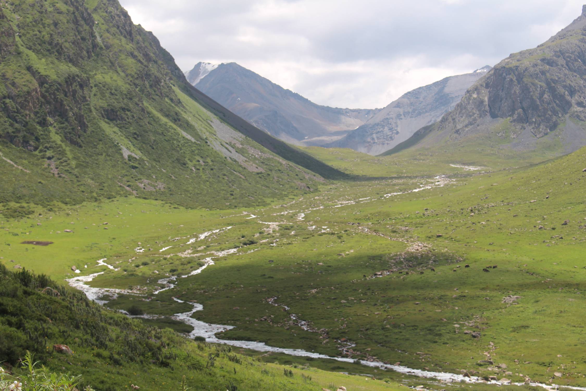 Vall&eacute;e de Turgen Jailoo, rivi&egrave;re