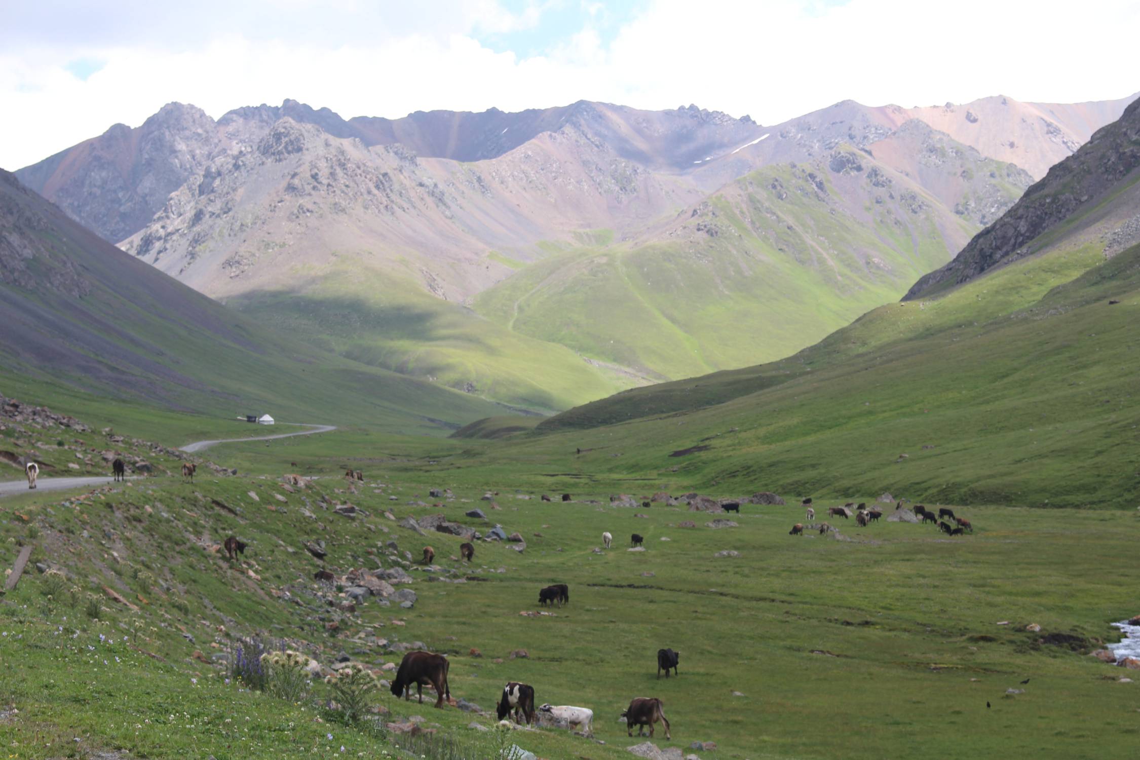 Col de Chon Ashuu, vall&eacute;e