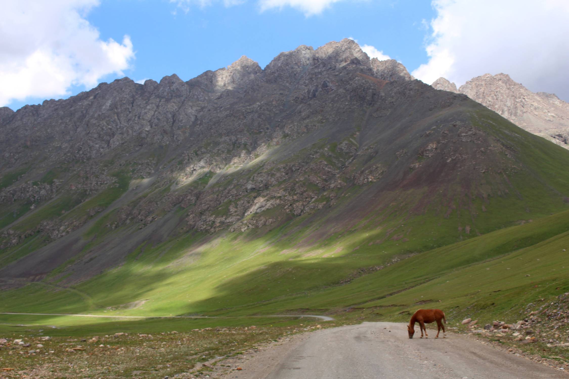 Col de Chon Ashuu, cheval